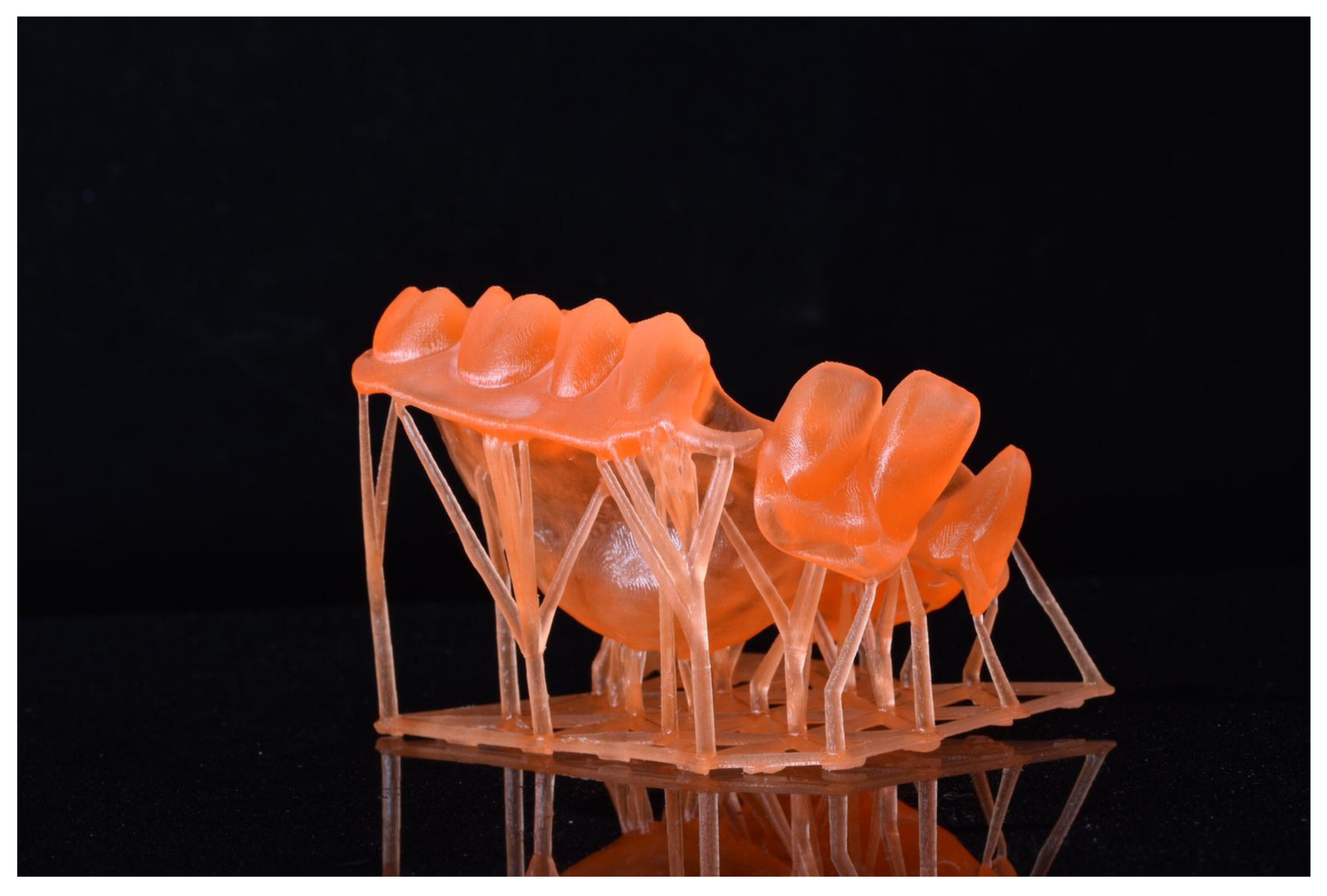 Materials 13 01982 g005