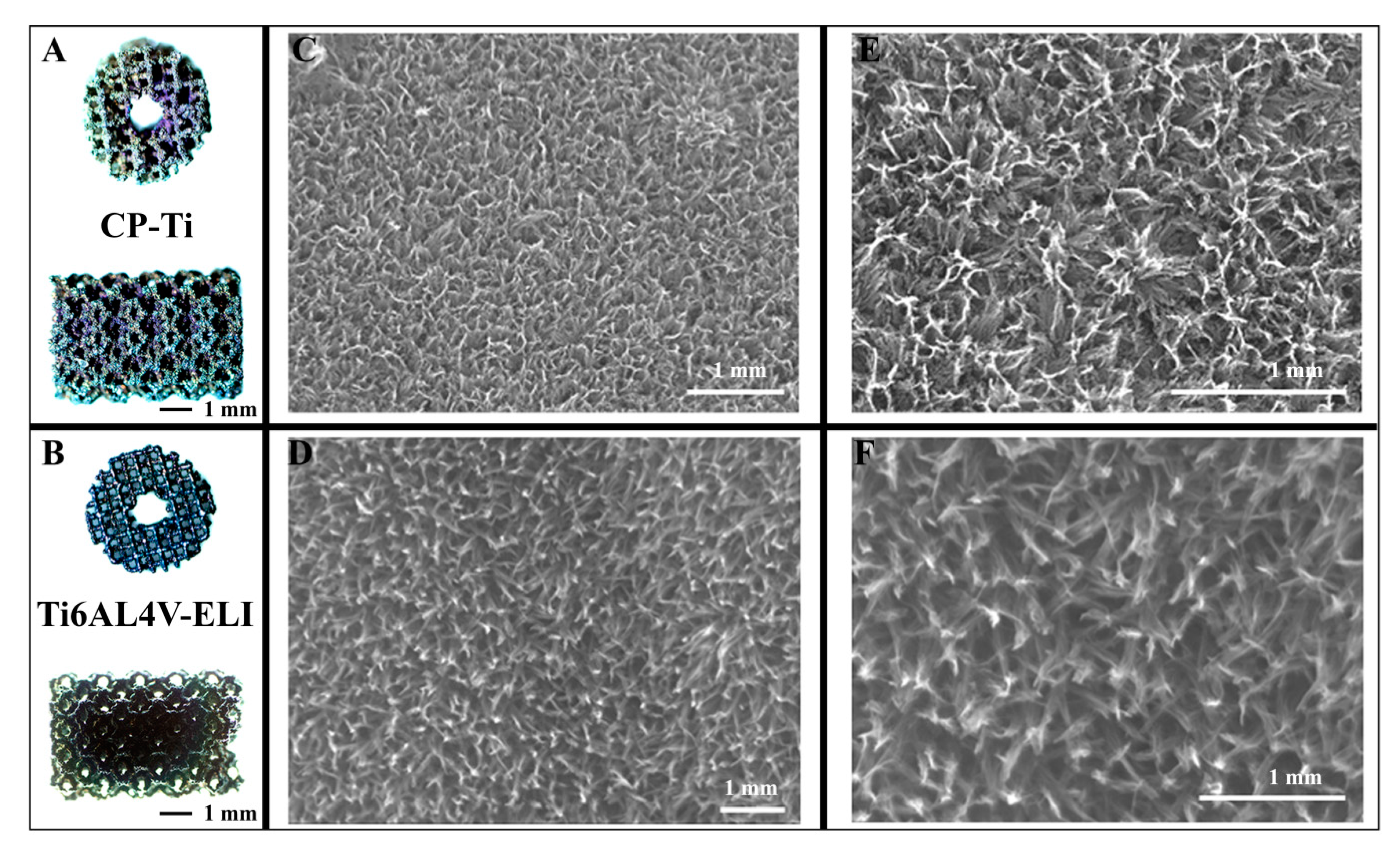 Materials 13 01992 g002