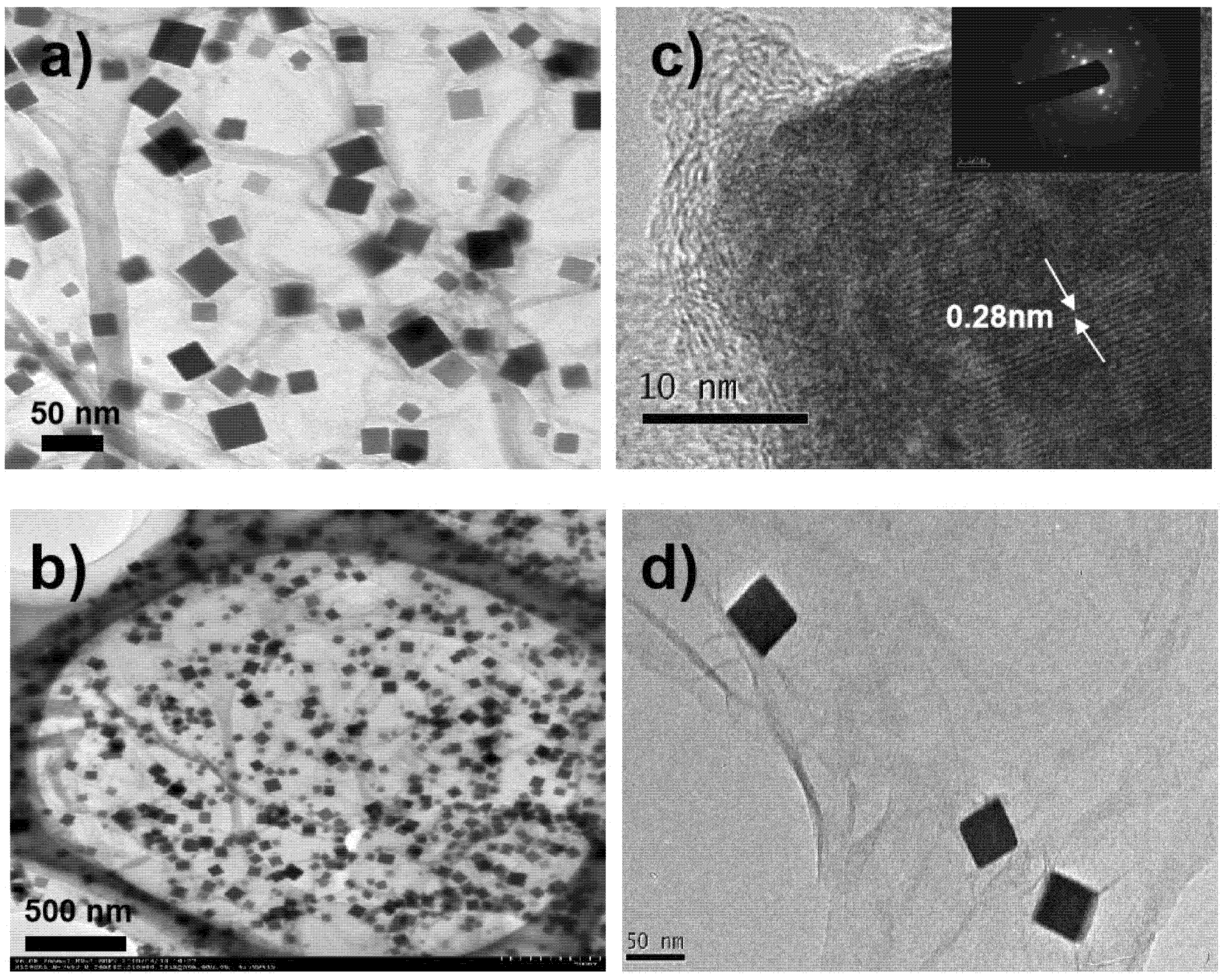 Materials 13 01999 g001