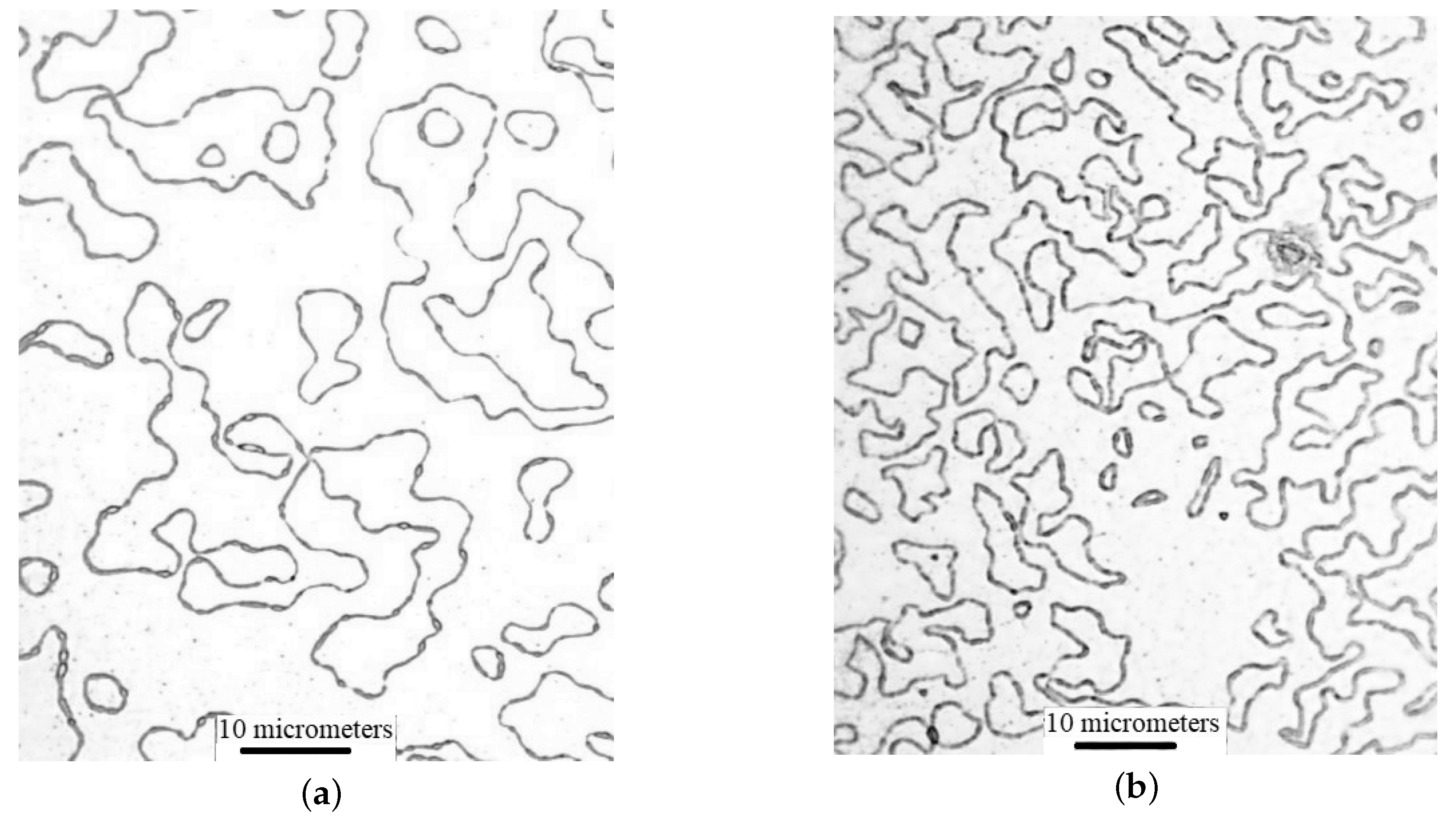 Materials 13 02010 g005