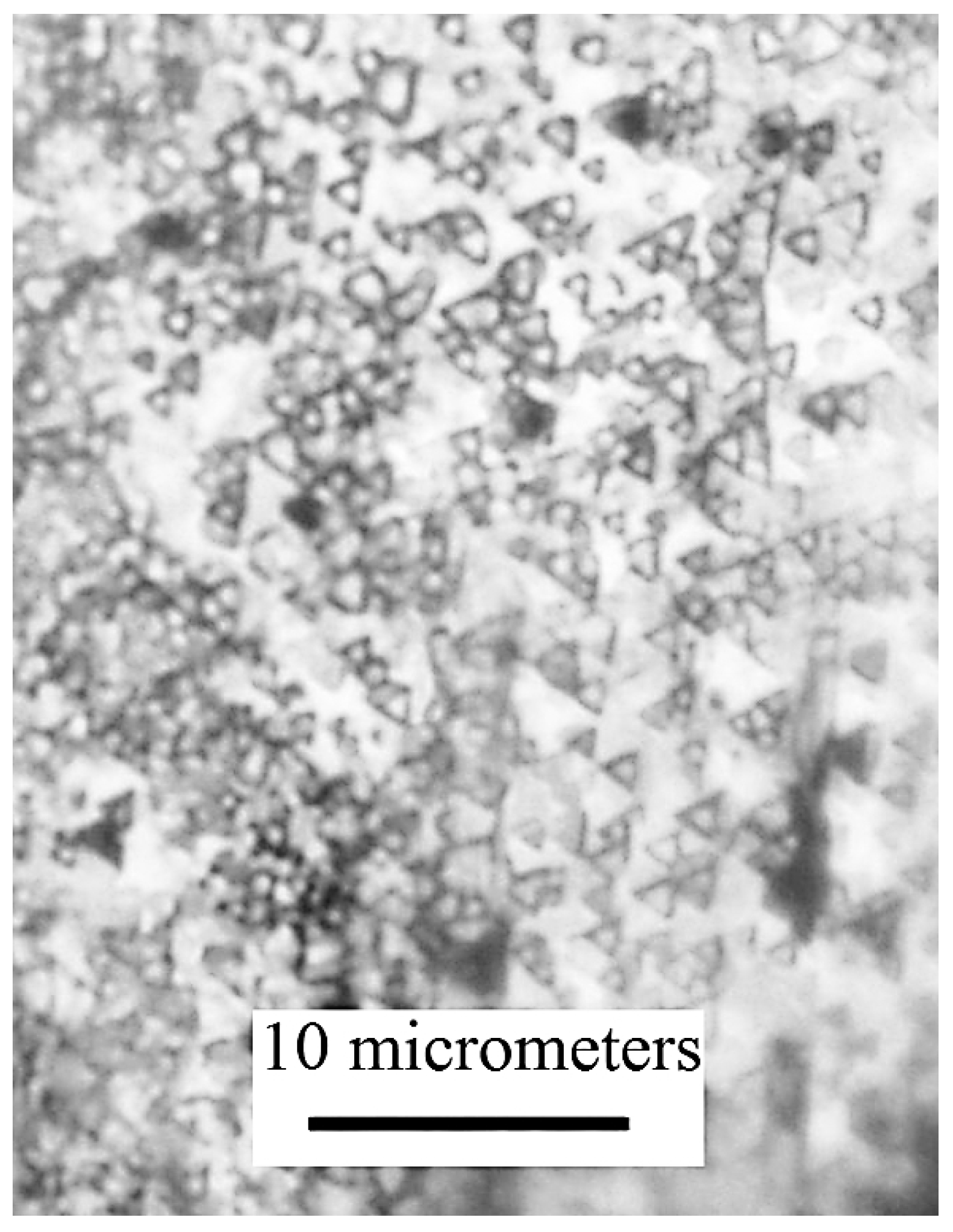 Materials 13 02010 g006