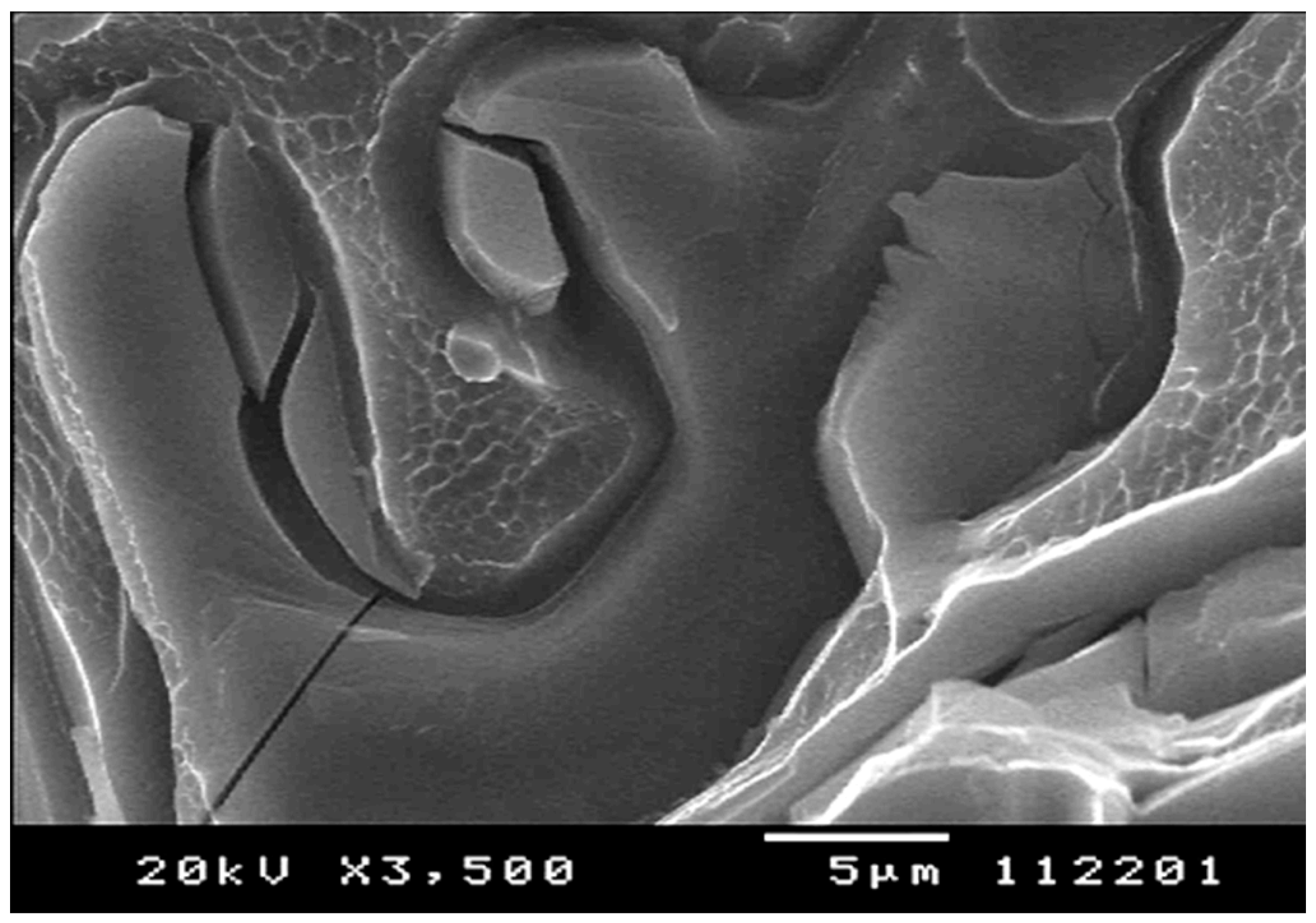 Materials 13 02019 g006 Materials 13 02019 g006