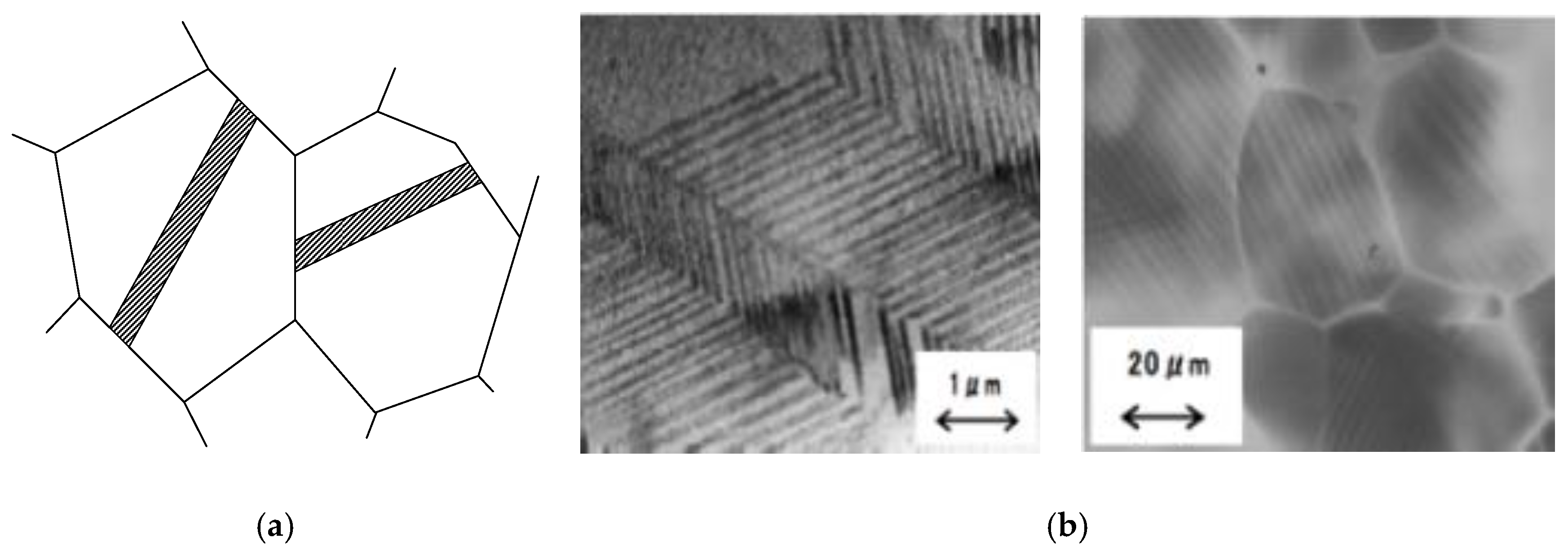 Materials 13 02020 g010