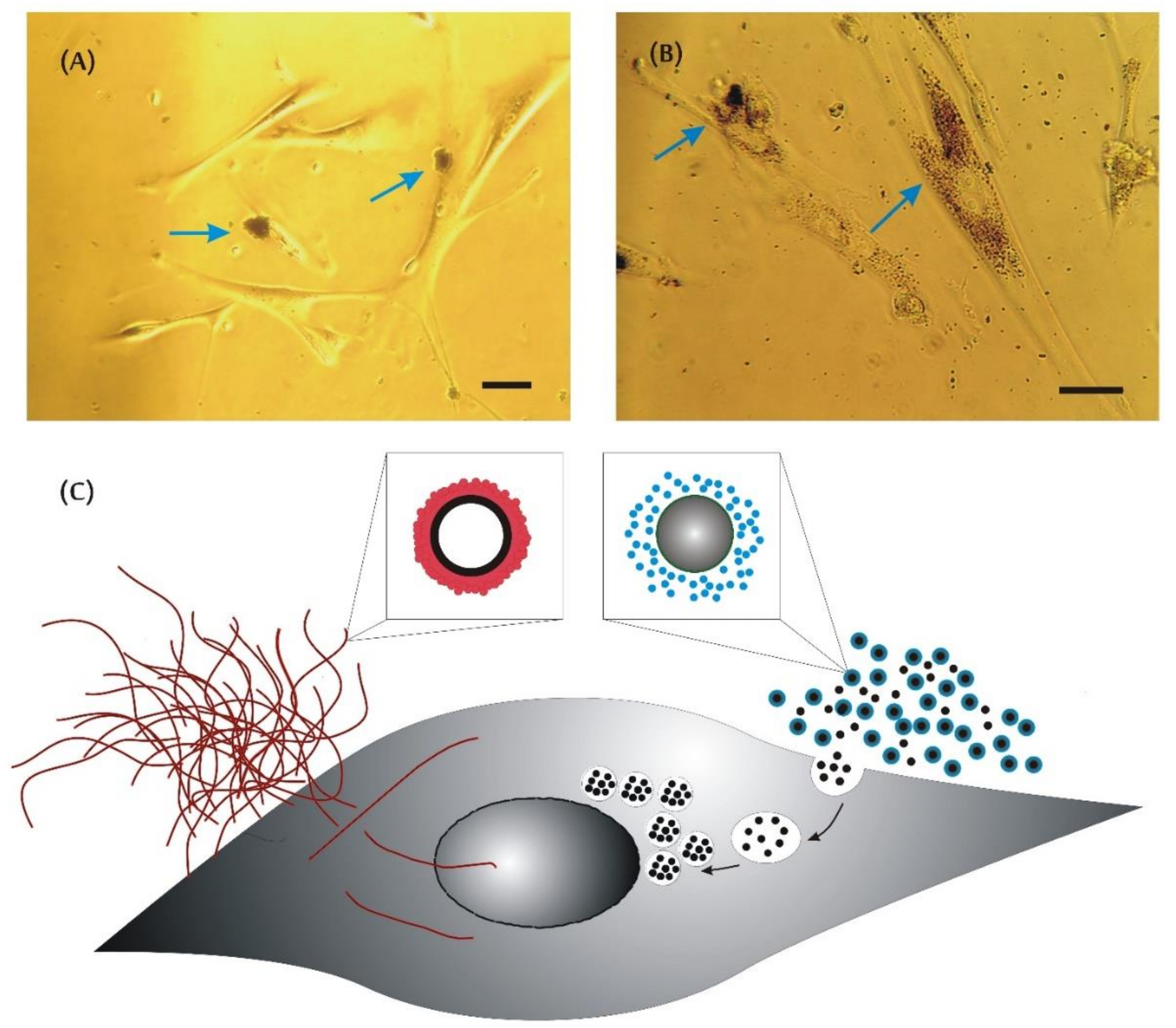 Materials 13 02060 g007