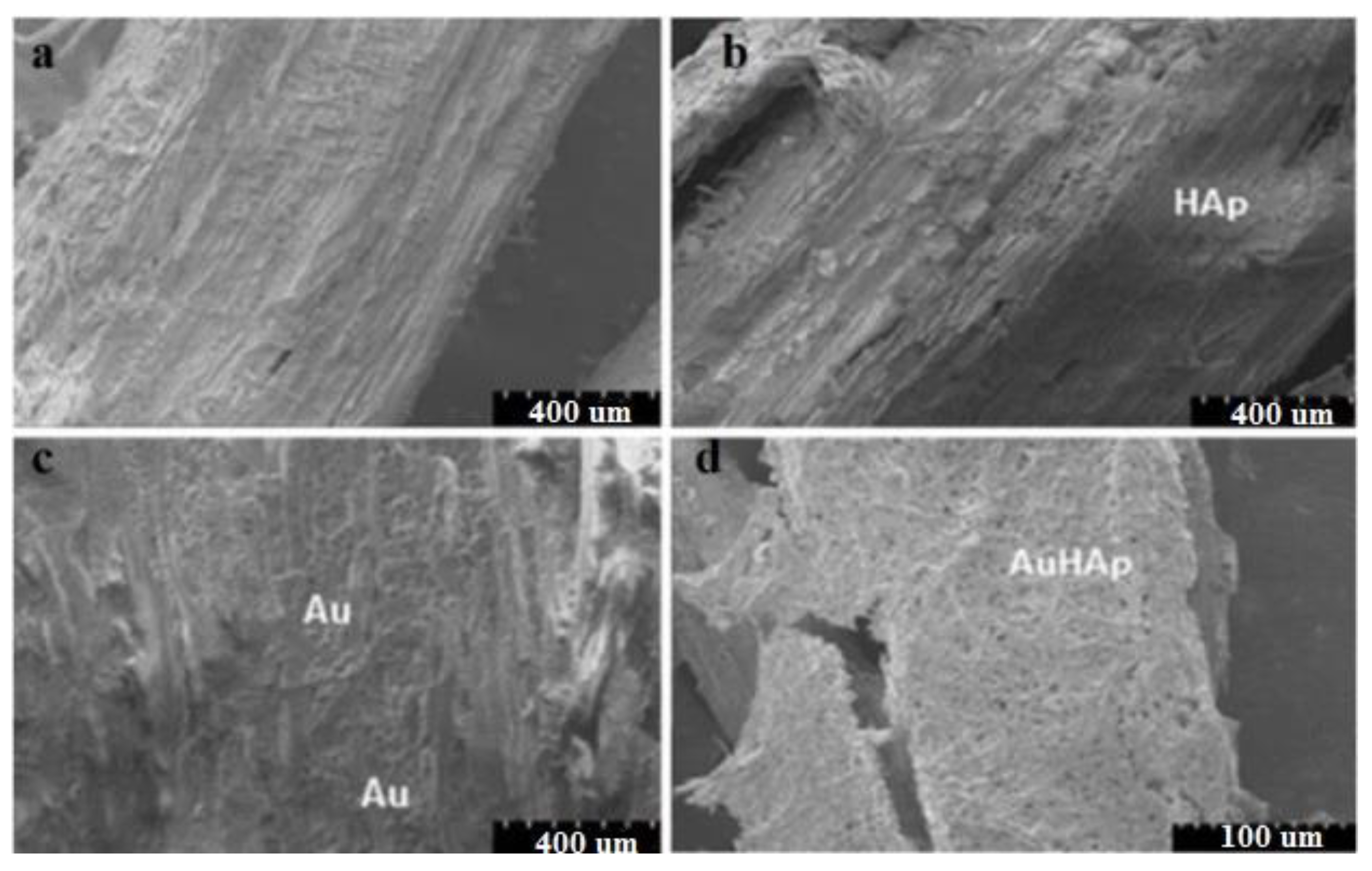 Materials 13 02064 g003