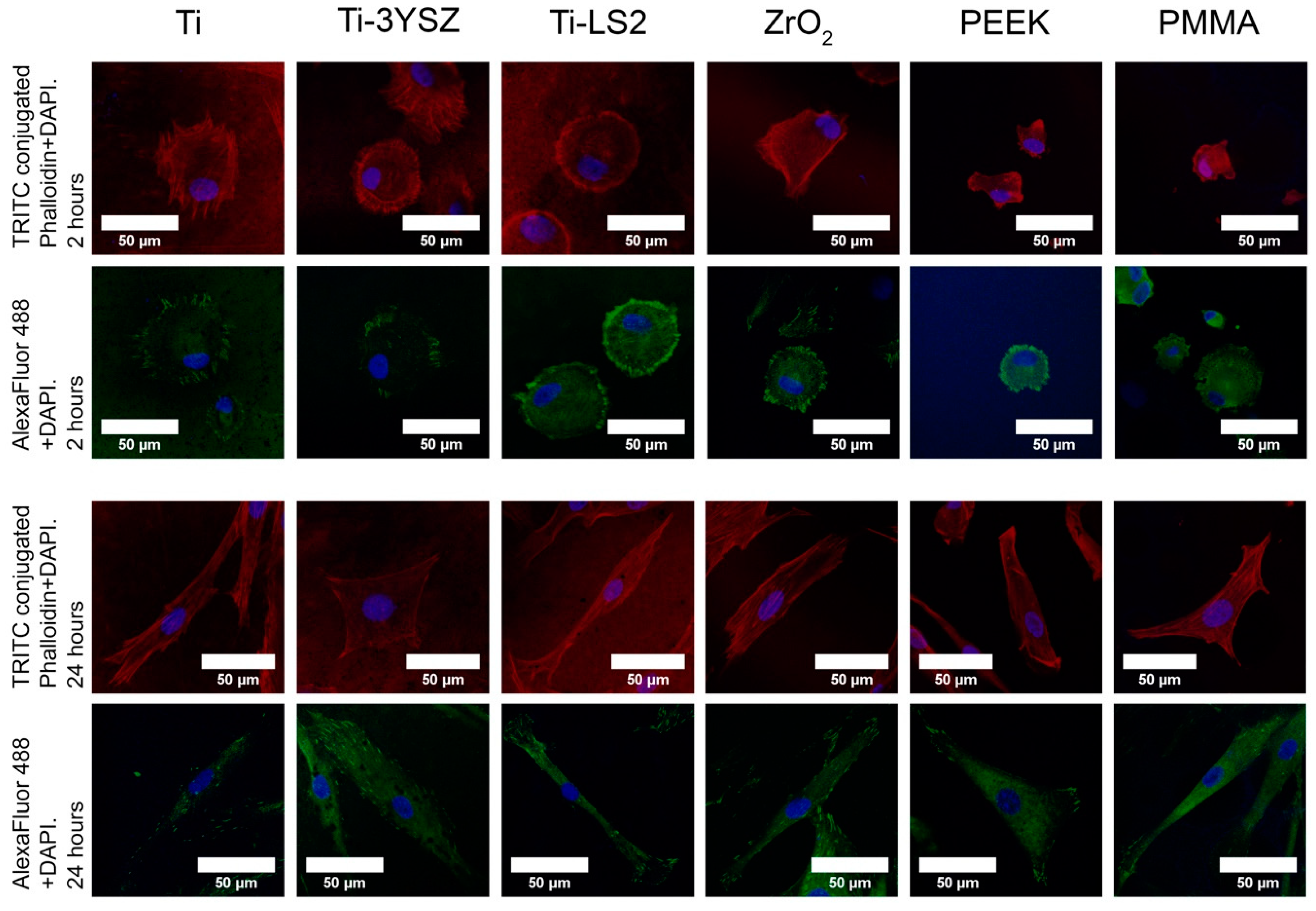 Materials 13 02070 g004 Materials 13 02070 g004