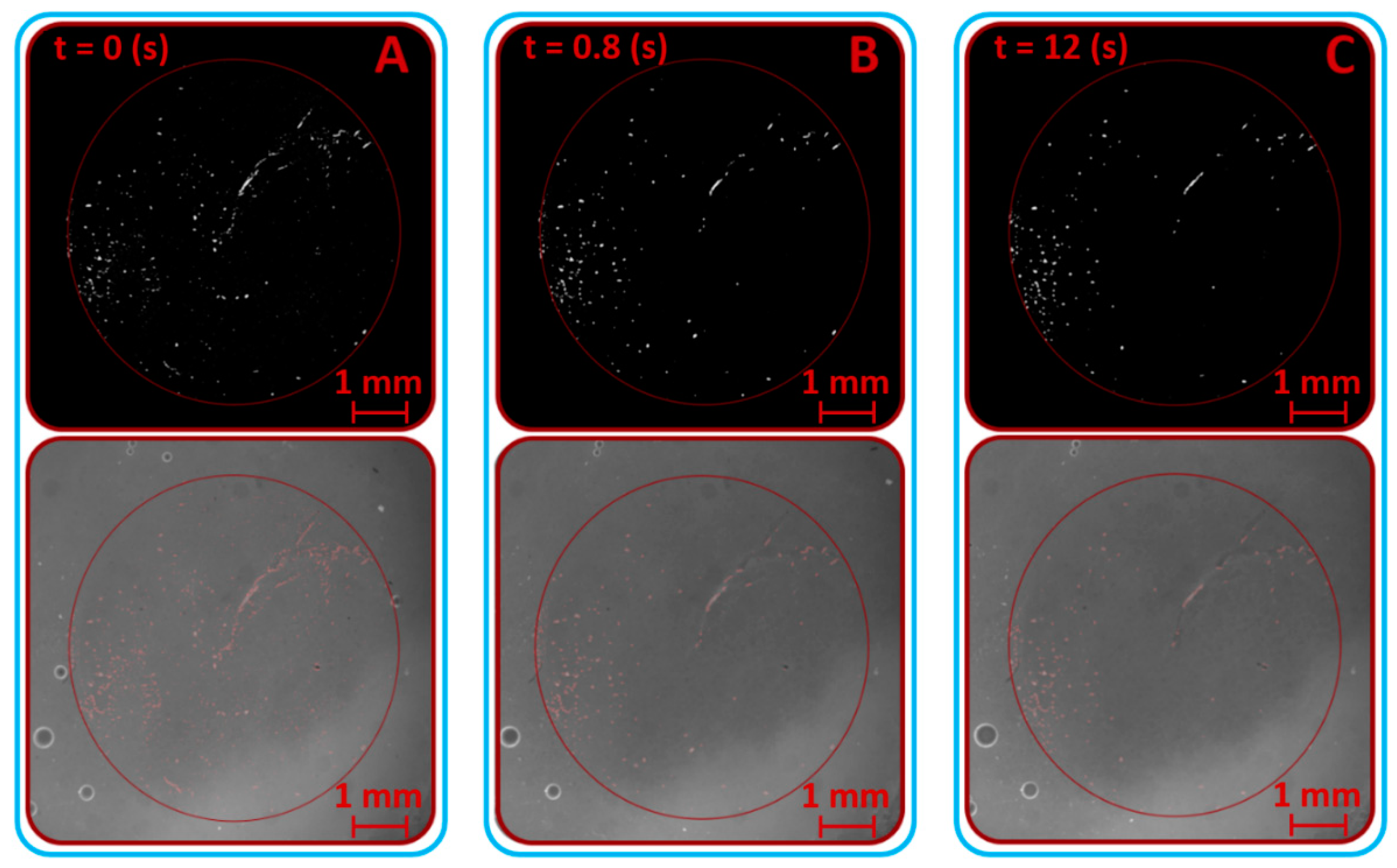 Materials 13 02075 g012