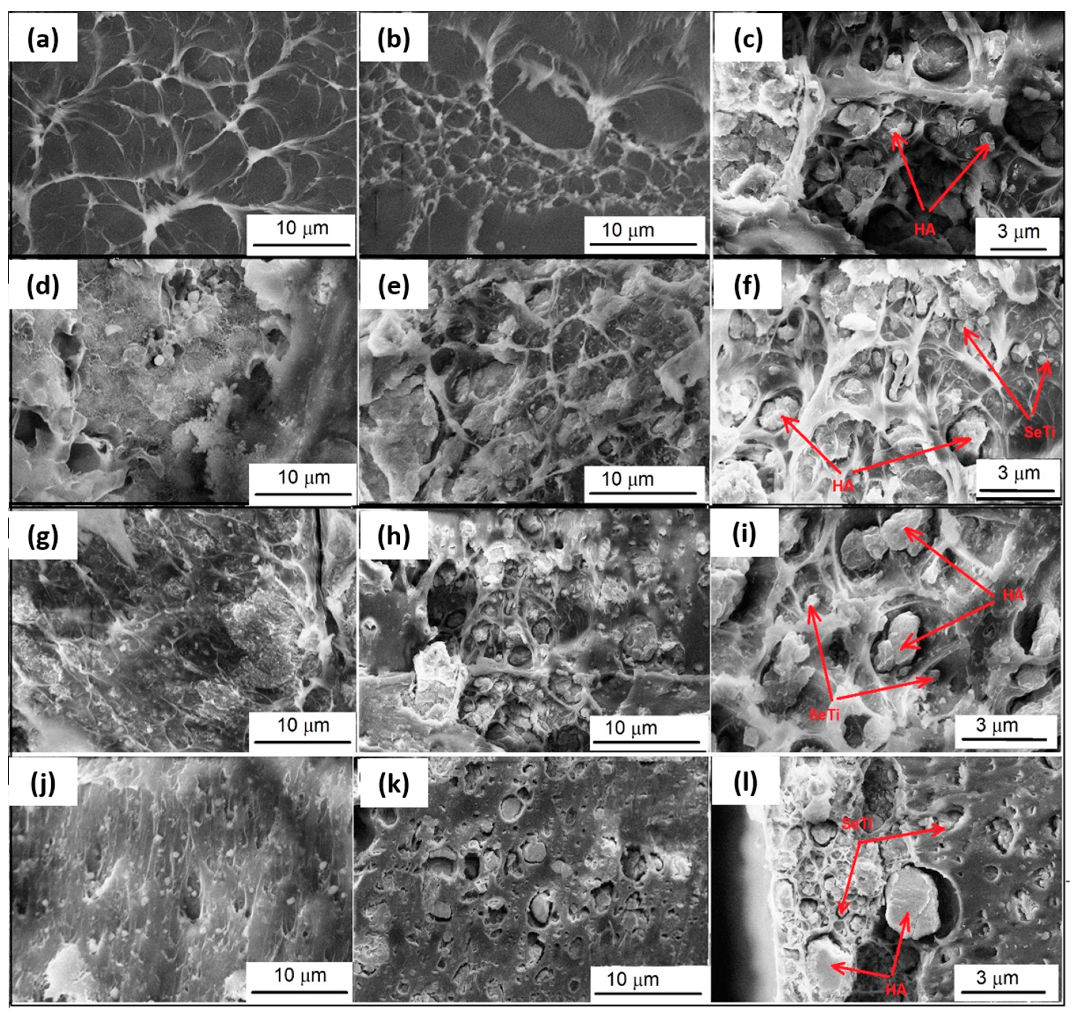 Materials 13 02077 g006