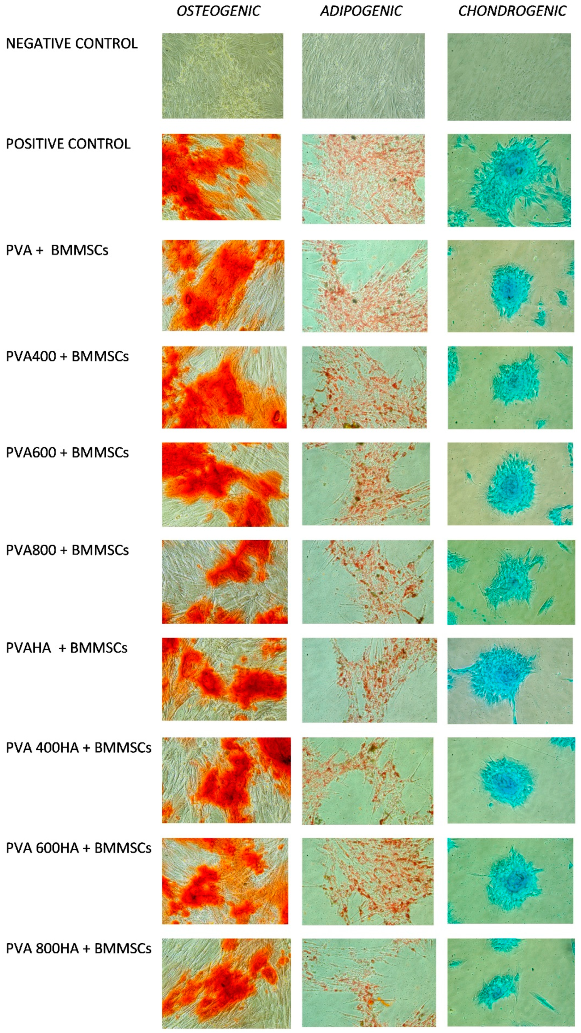 Materials 13 02077 g010