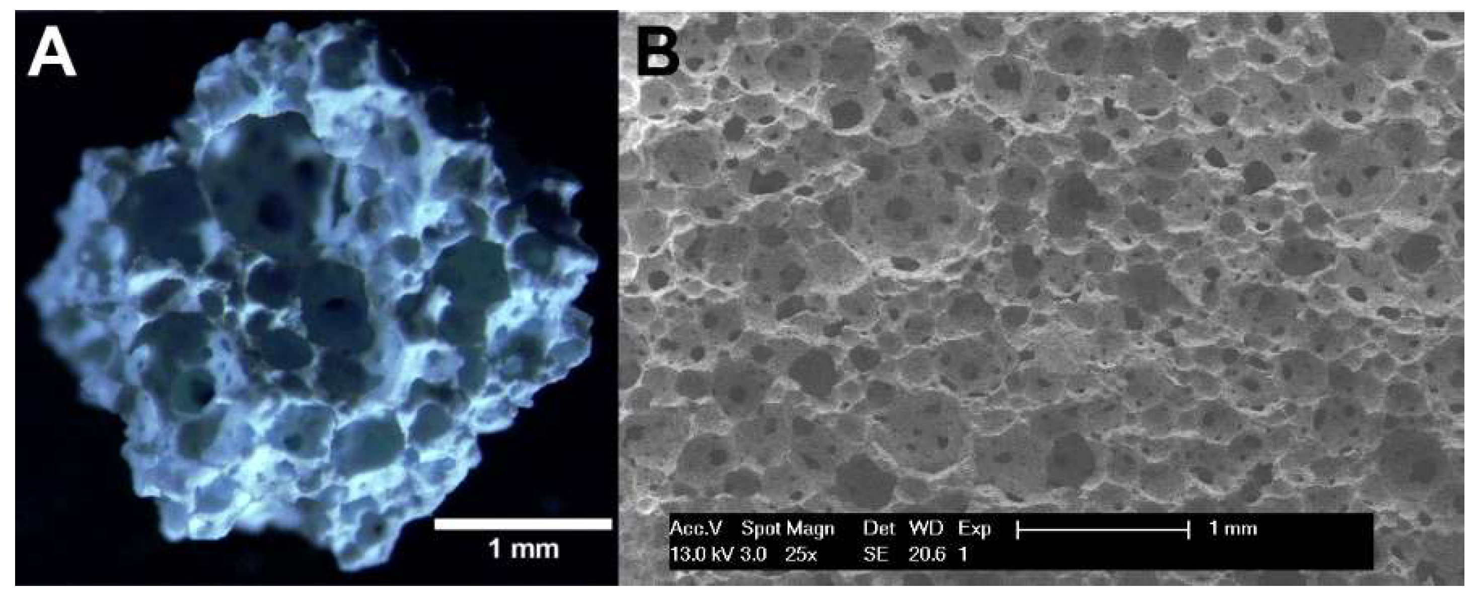 Materials 13 02086 g001