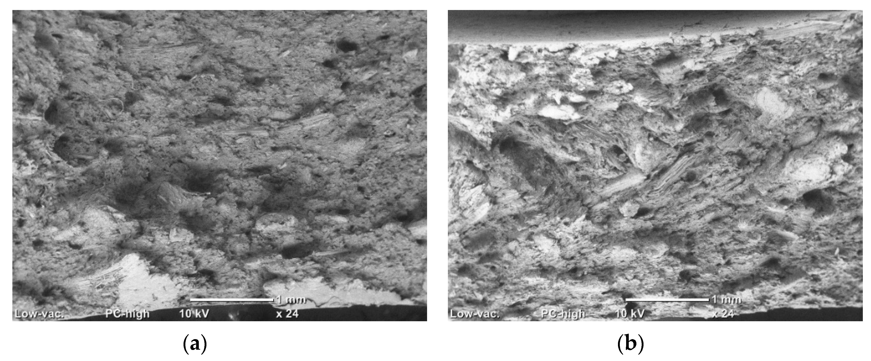 Materials 13 02089 g004 Materials 13 02089 g004