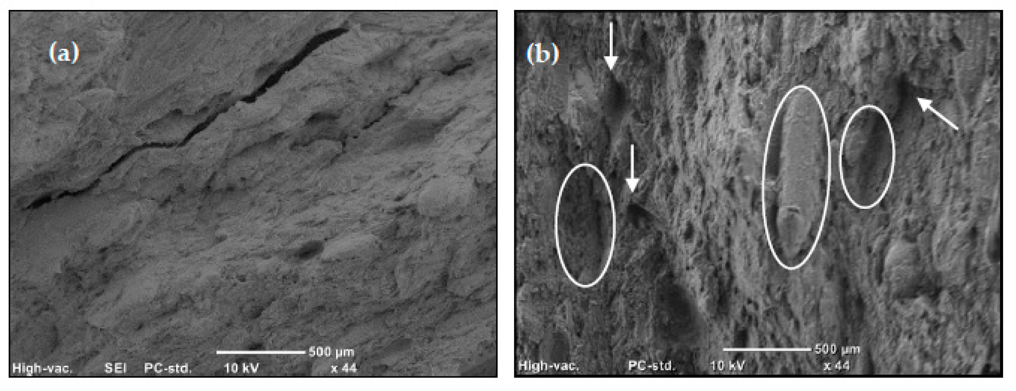 Materials 13 02089 g007 Materials 13 02089 g007