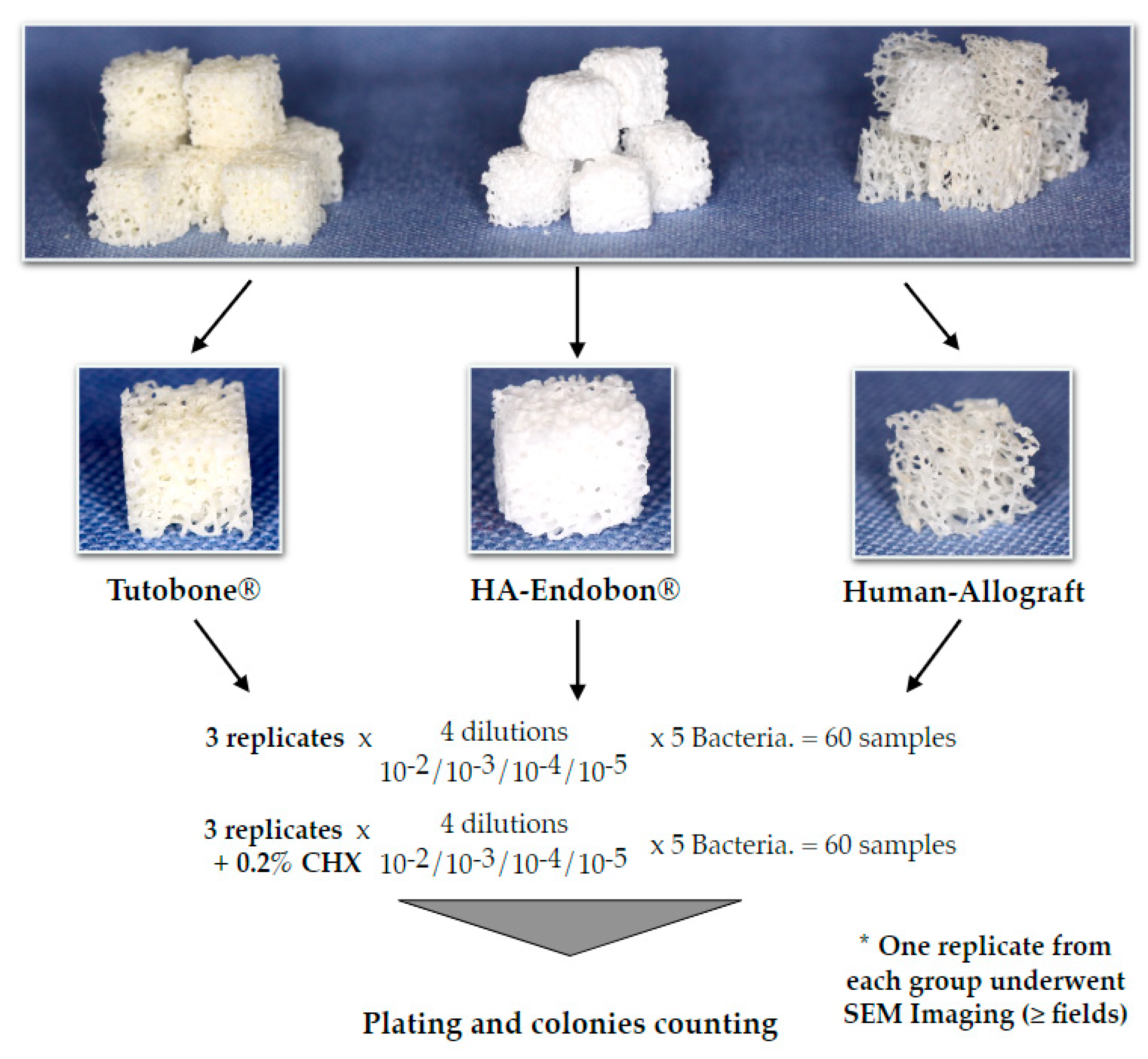 Materials 13 02102 g002