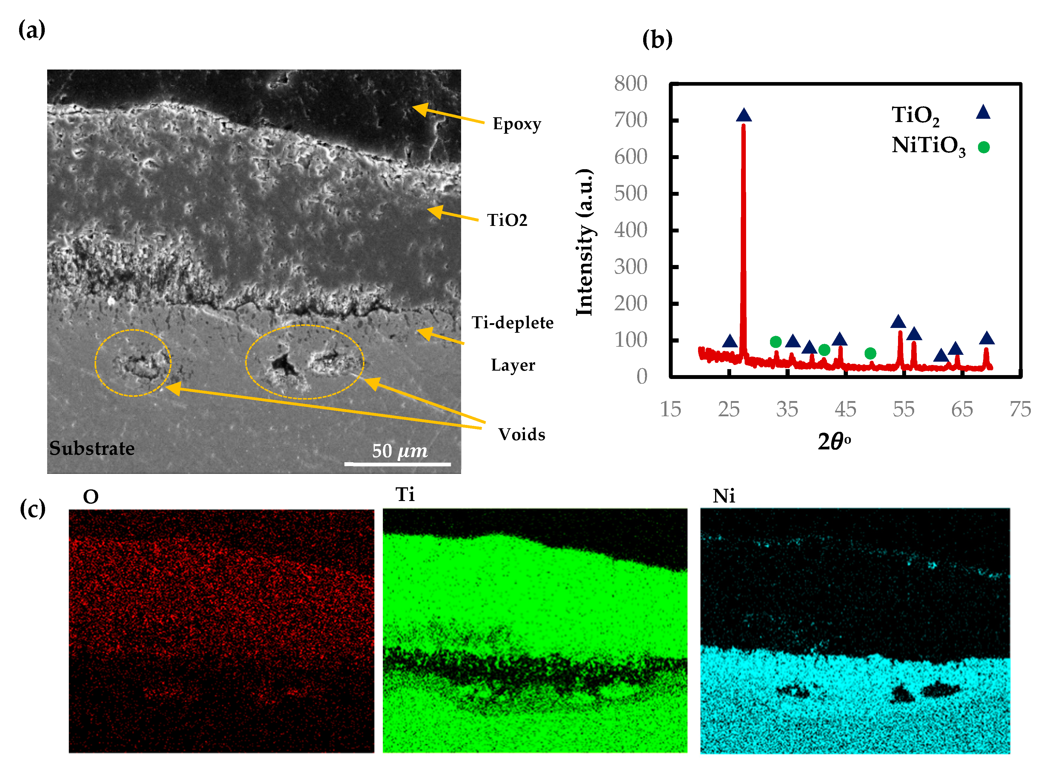 Materials 13 02104 g009