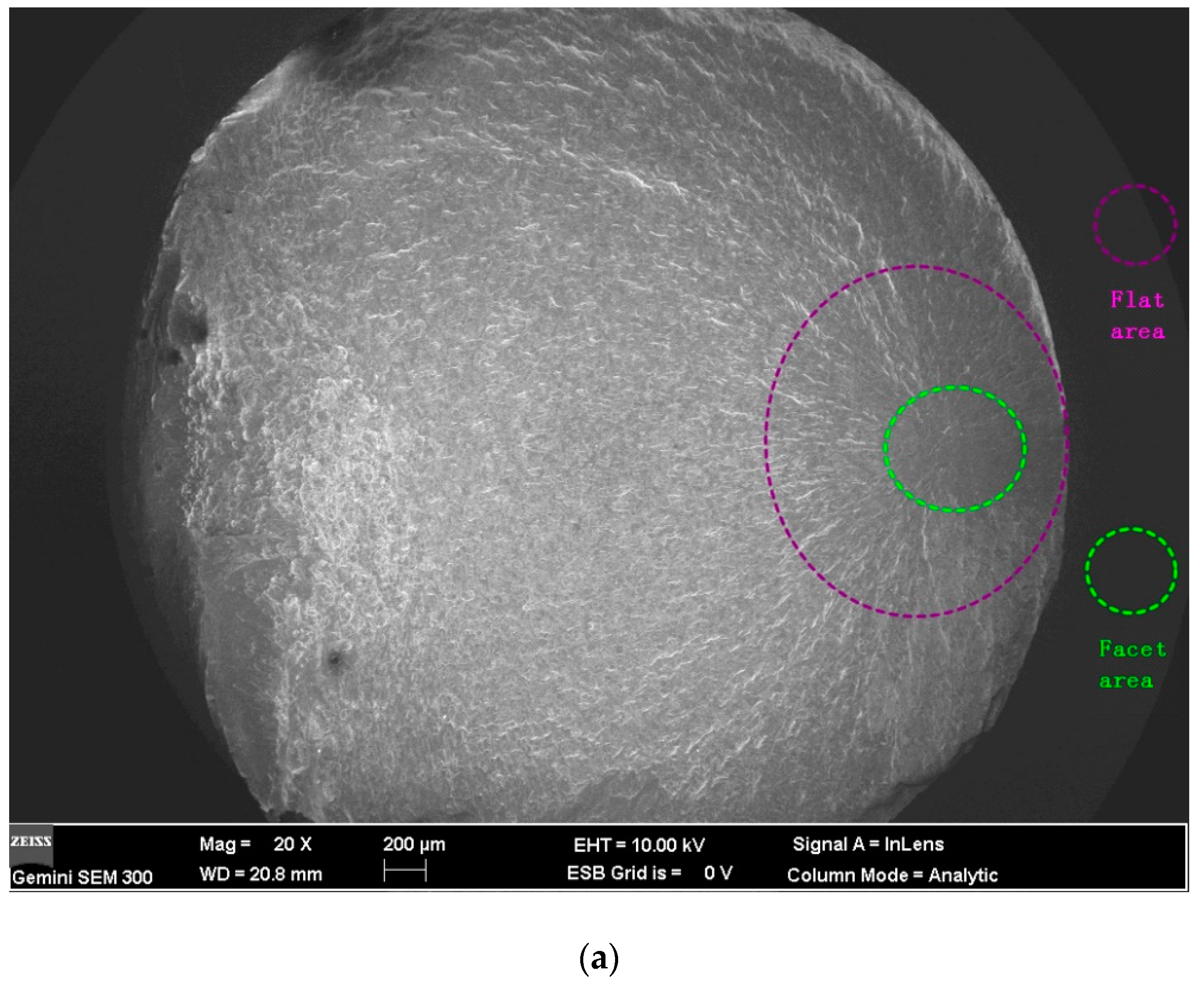 Materials 13 02107 g008a Materials 13 02107 g008a