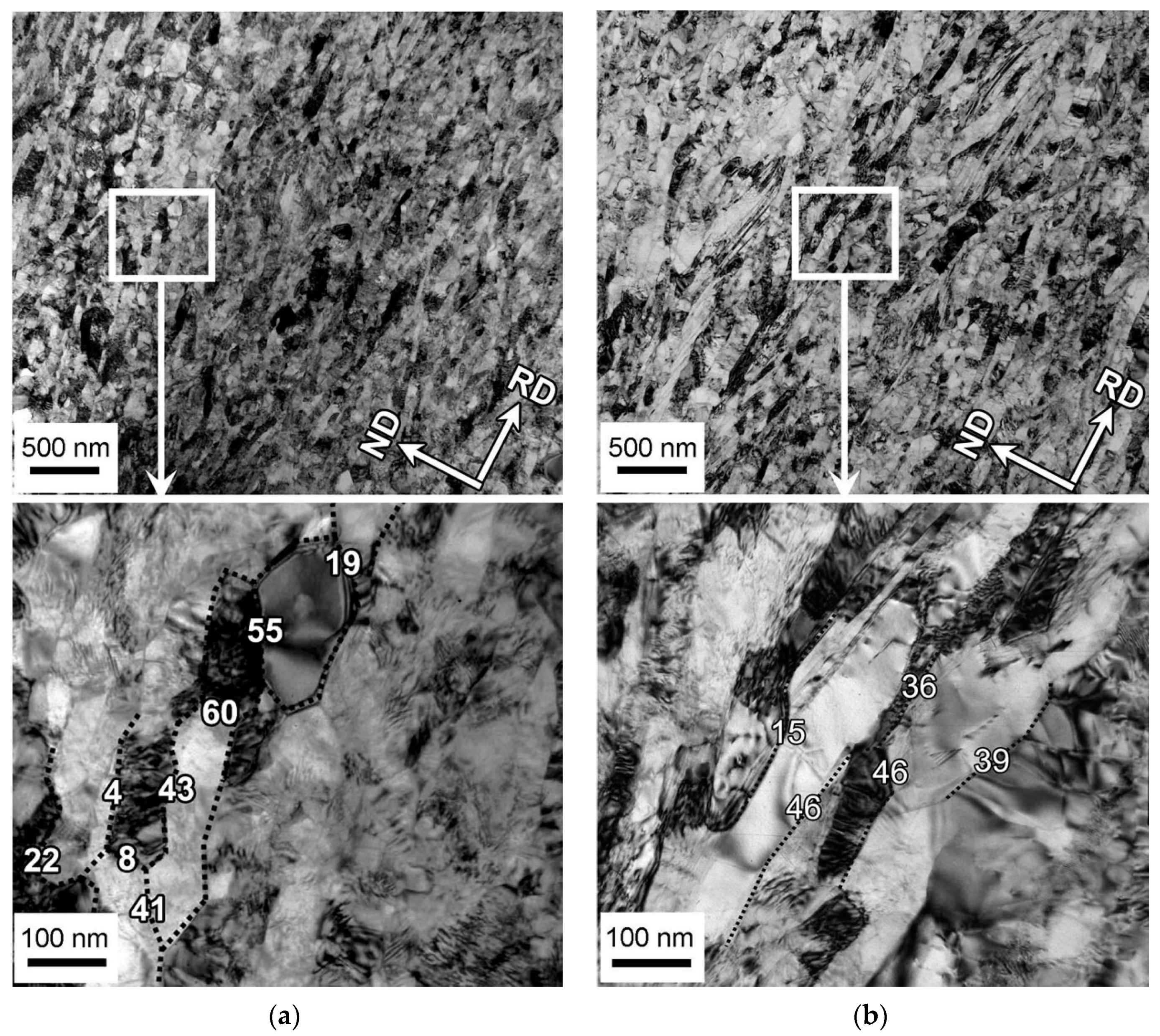 Materials 13 02116 g003 Materials 13 02116 g003