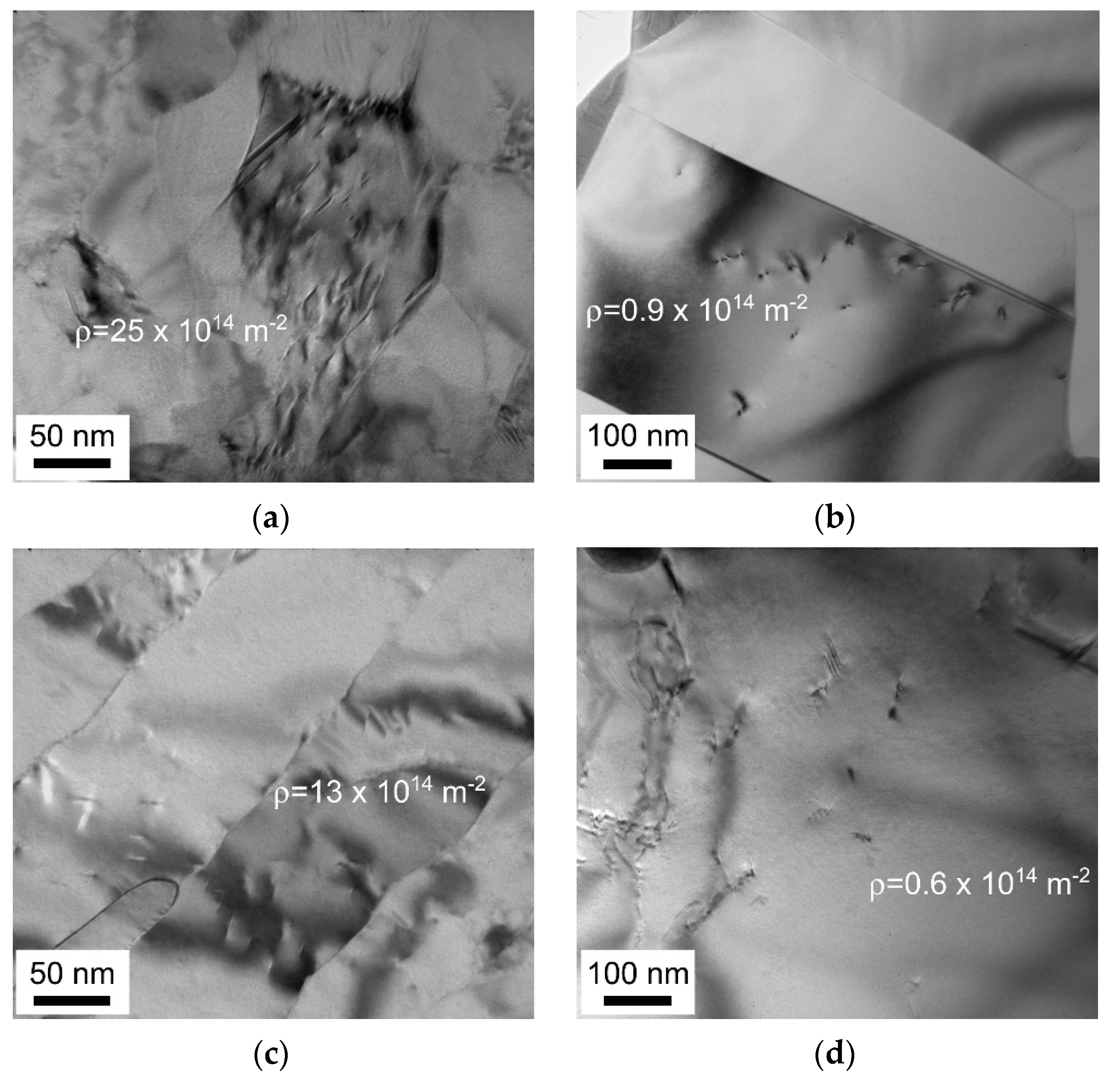 Materials 13 02116 g004 Materials 13 02116 g004