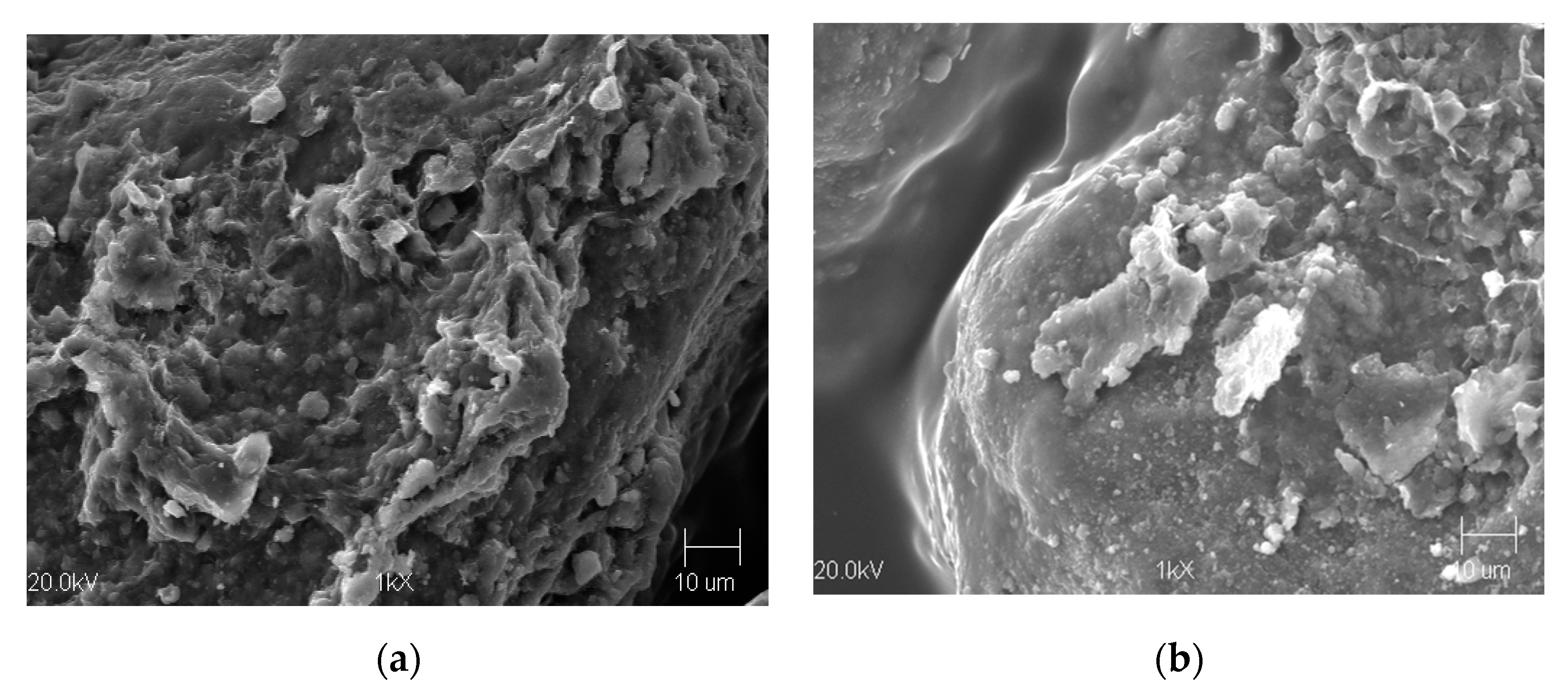 Materials 13 02134 g004 Materials 13 02134 g004