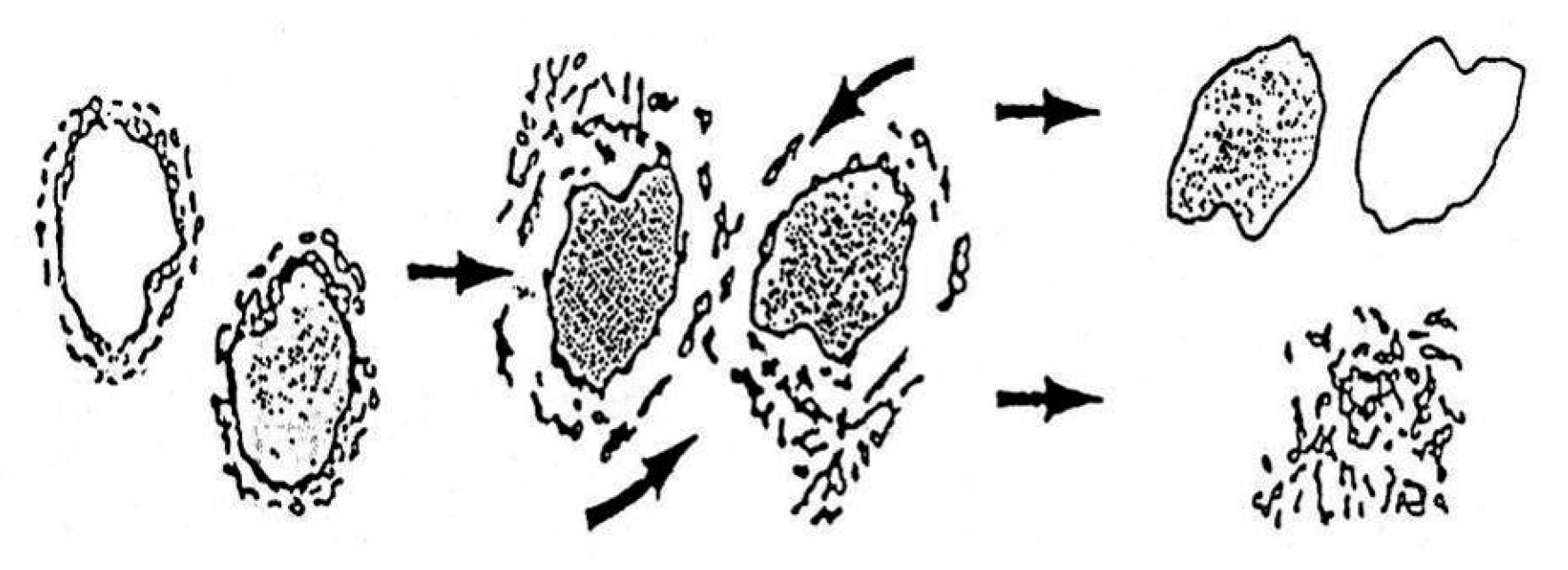 Materials 13 02134 g0a4 Materials 13 02134 g0a4
