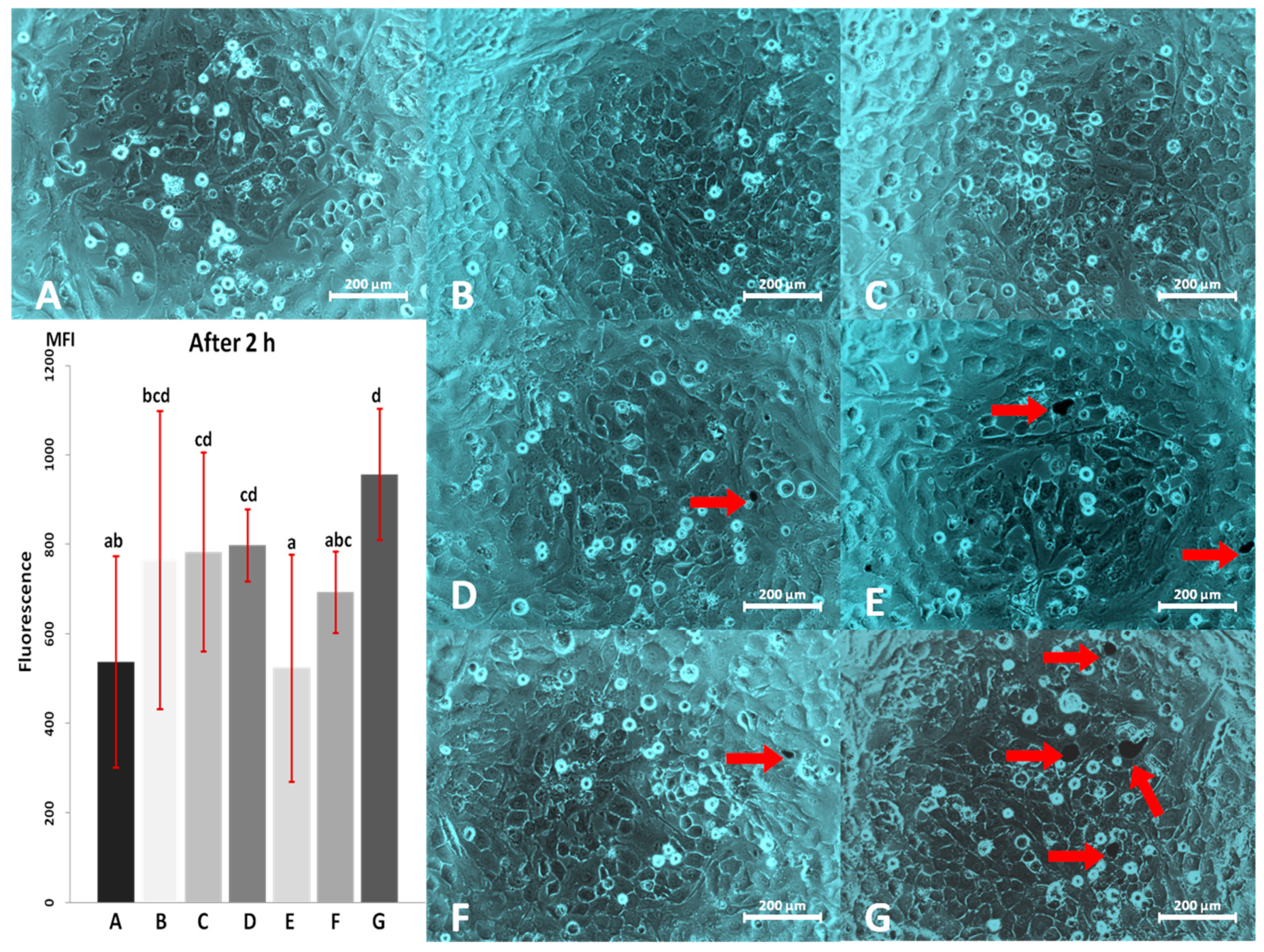 Materials 13 02159 g003
