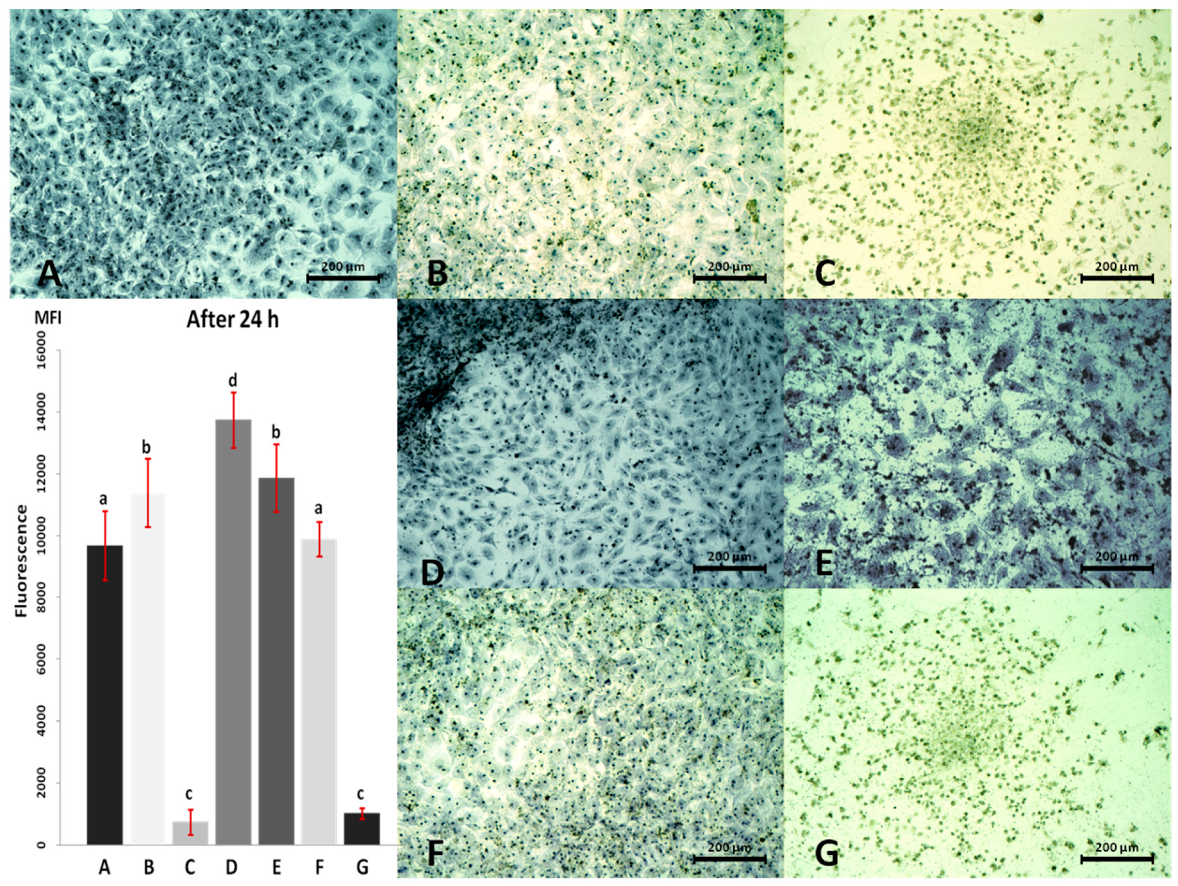 Materials 13 02159 g004