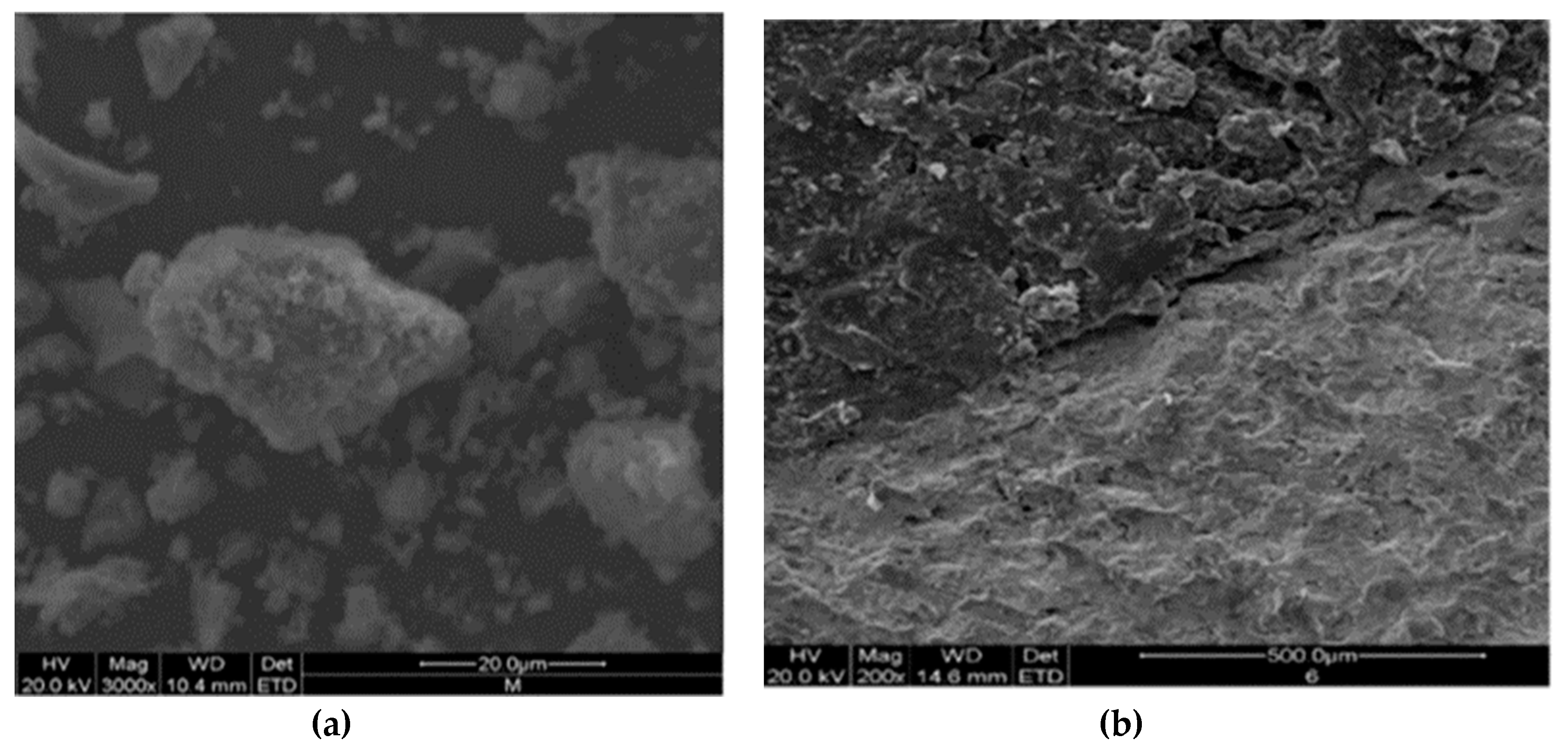 Materials 13 02169 g005