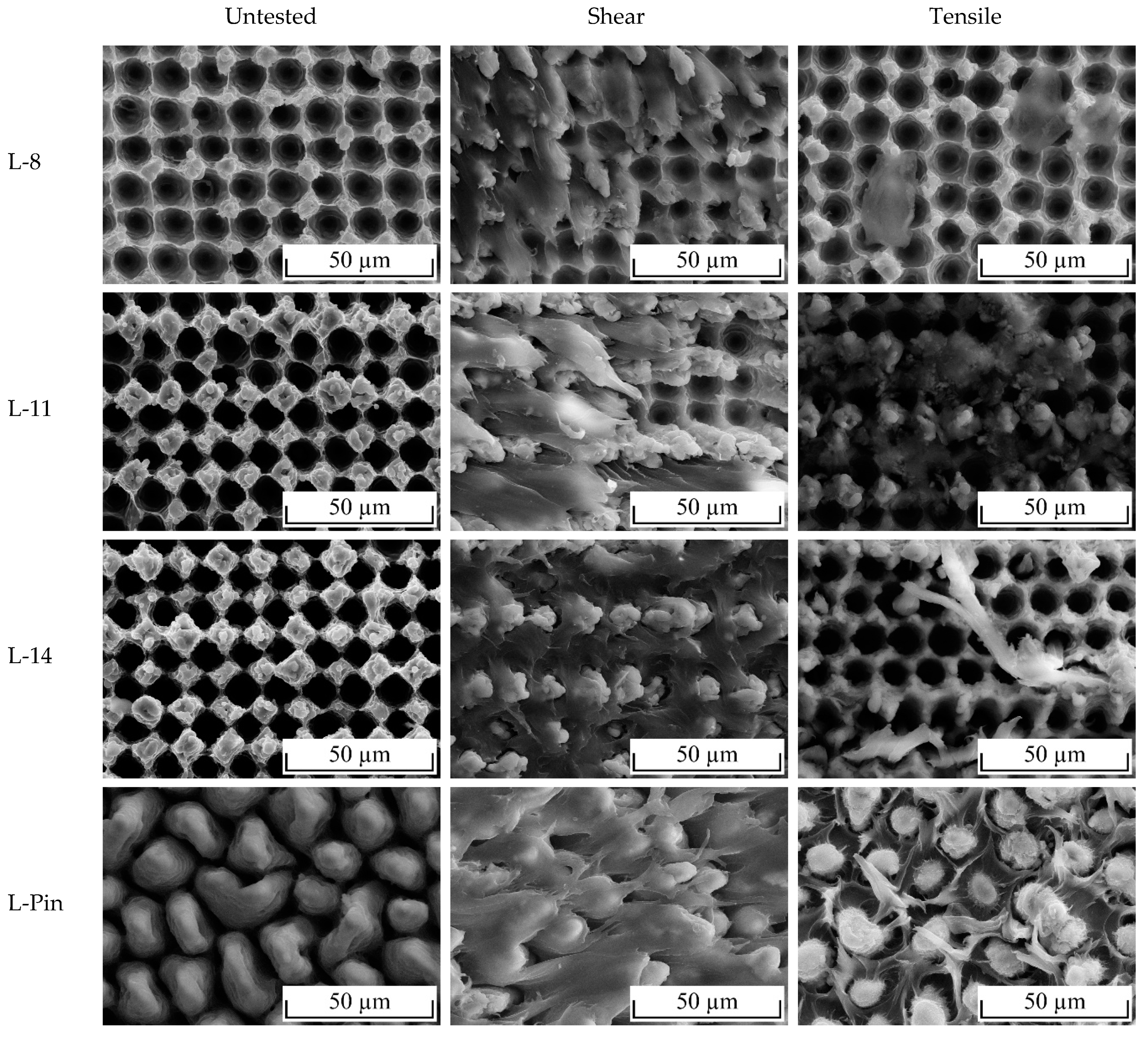 Materials 13 02171 g012