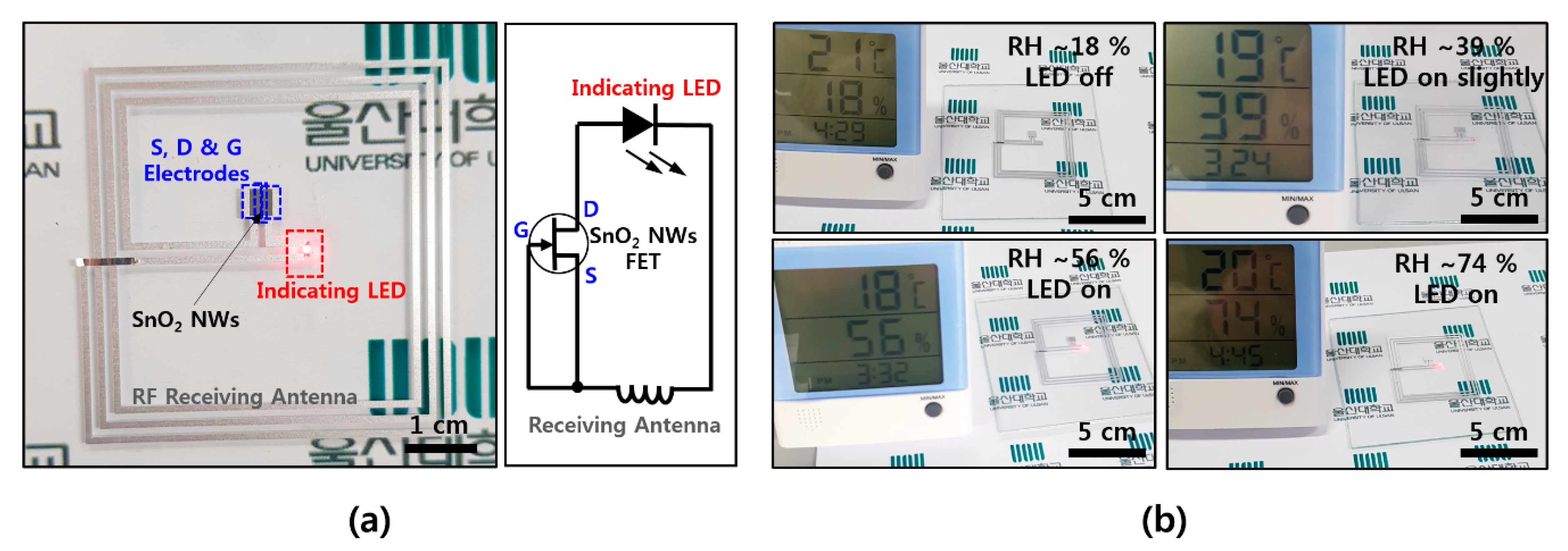 Materials 13 02176 g004 Materials 13 02176 g004