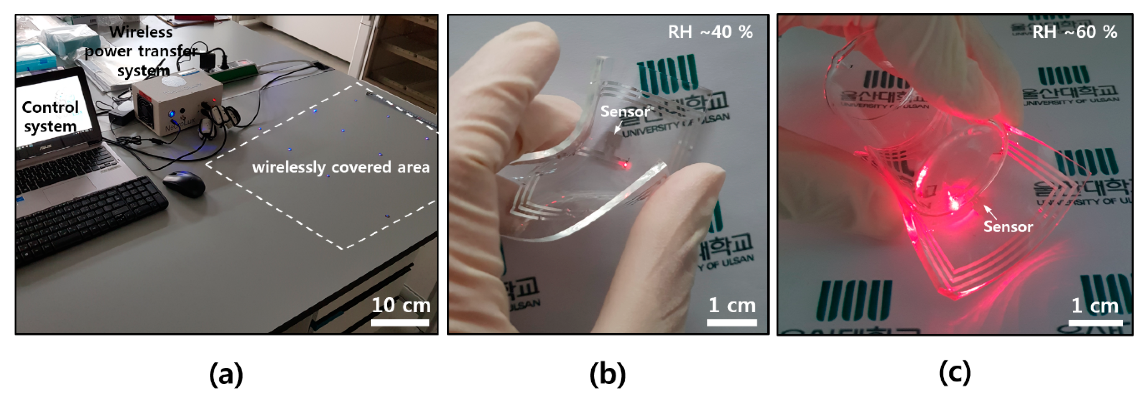 Materials 13 02176 g005 Materials 13 02176 g005