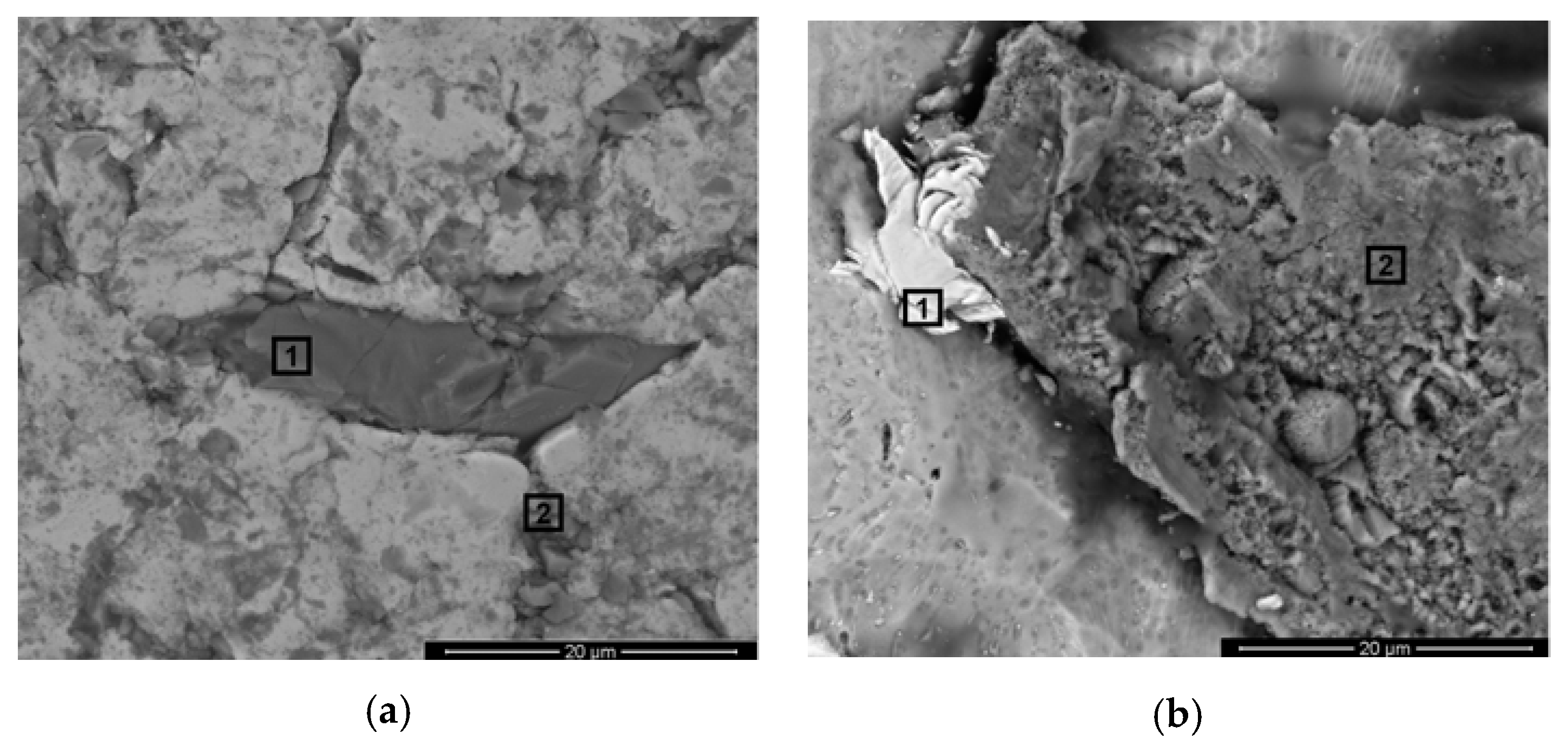 Materials 13 02177 g005 Materials 13 02177 g005