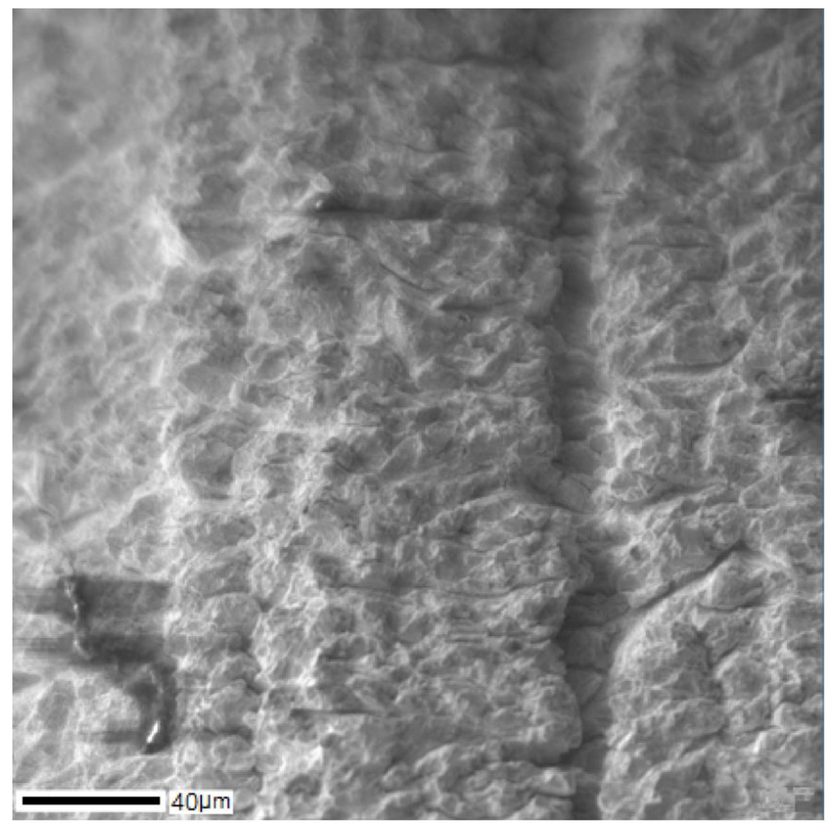 Materials 13 02187 g010 Materials 13 02187 g010