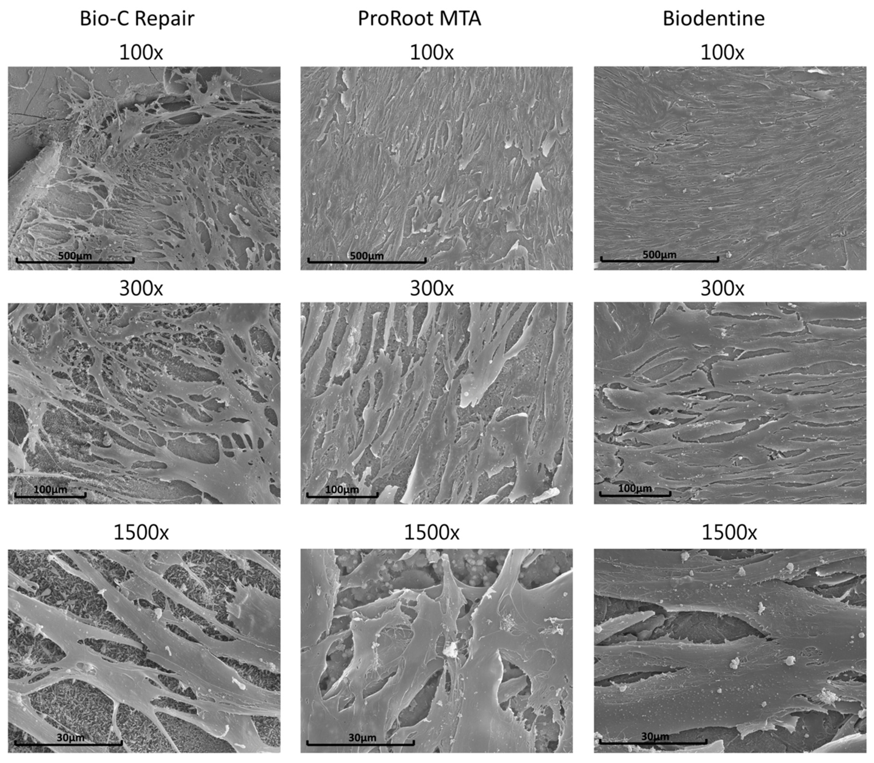 Materials 13 02189 g003