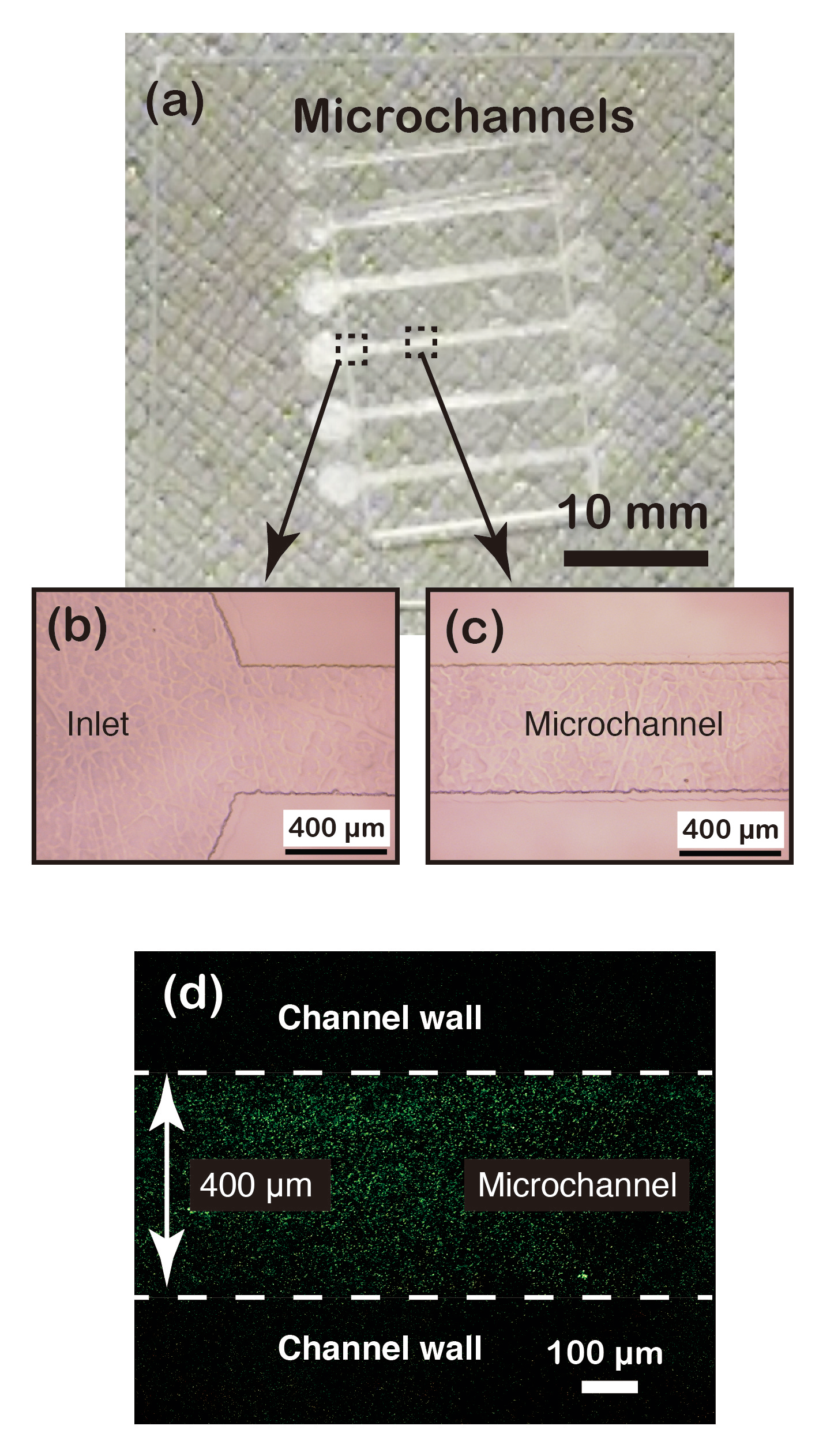 Materials 13 02206 g006