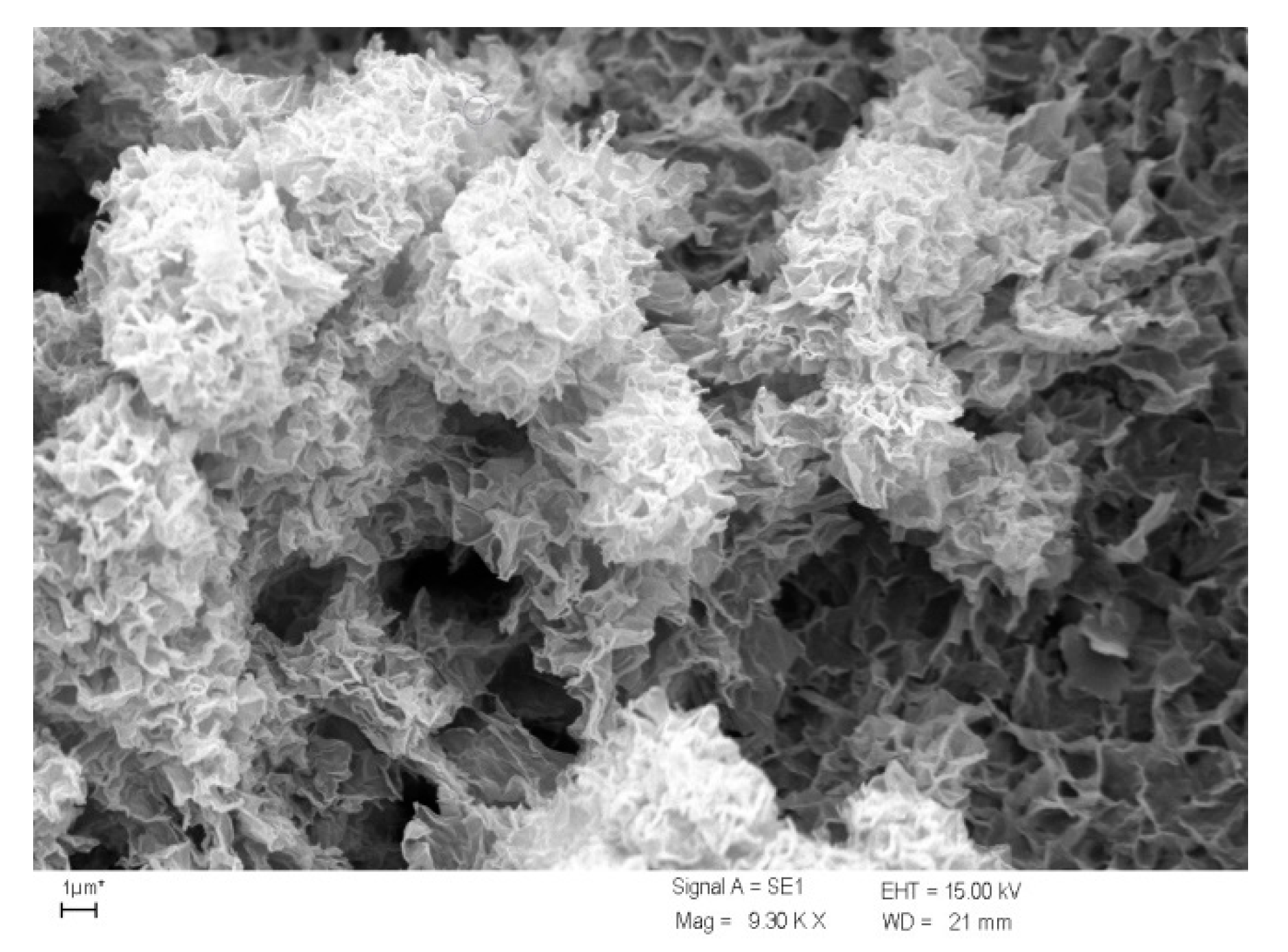 Materials 13 02232 g004