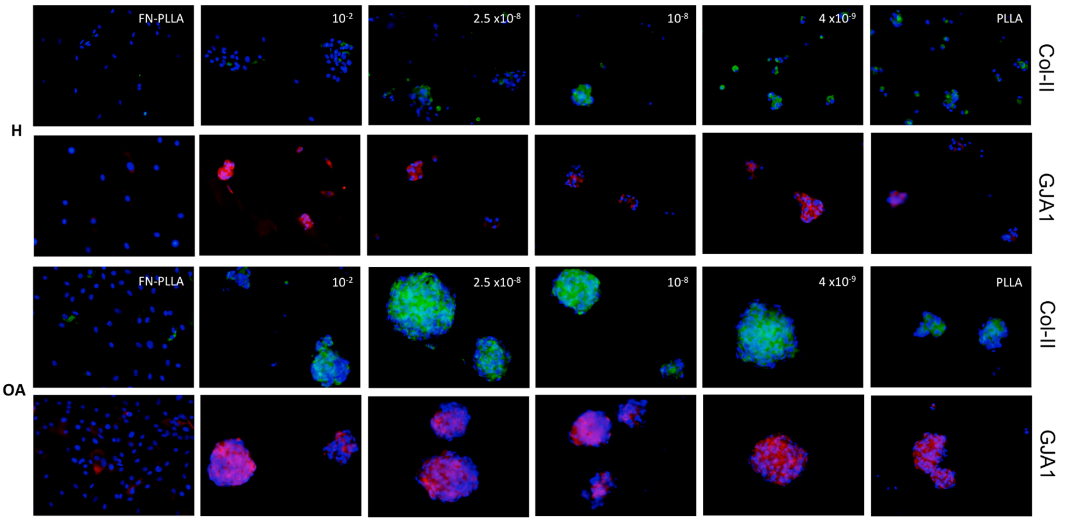 Materials 13 02247 g002