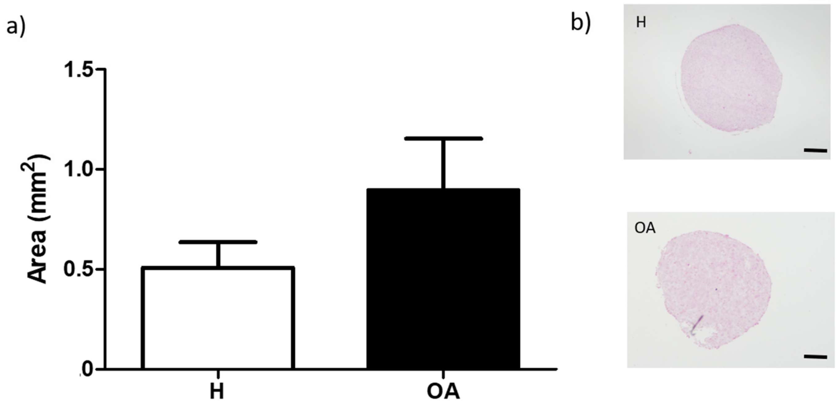 Materials 13 02247 g004