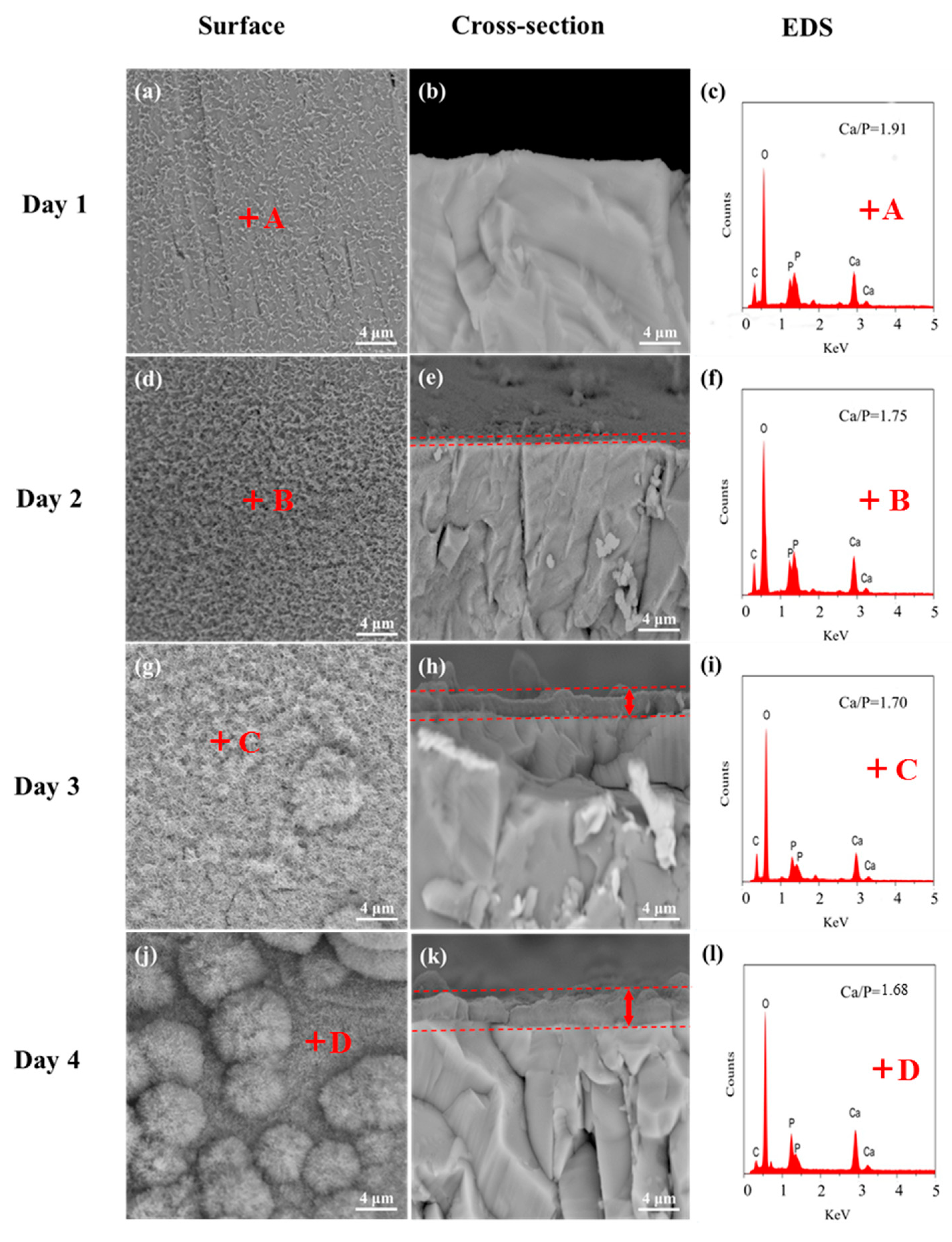 Materials 13 02268 g005