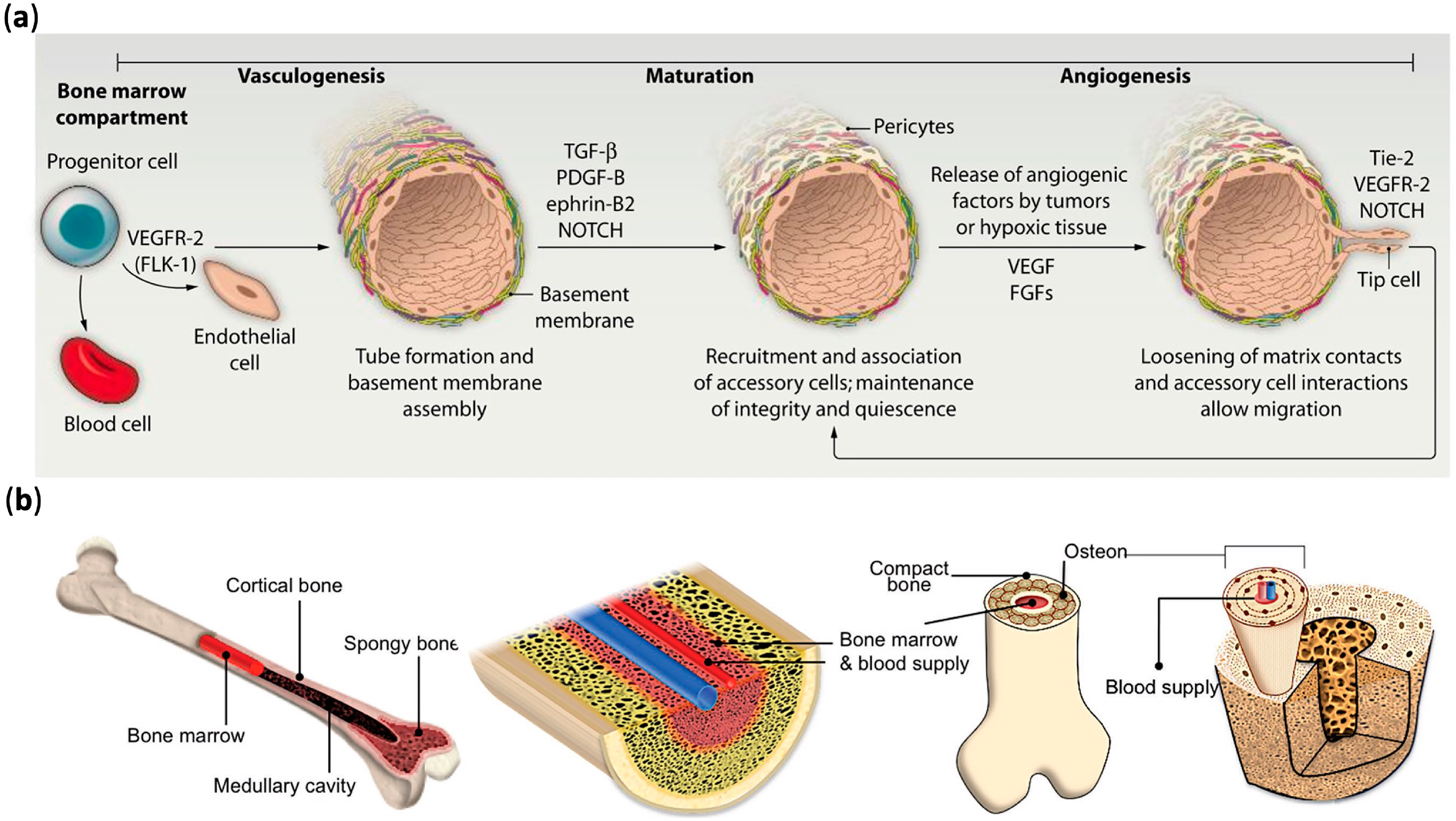 Materials 13 02278 g001