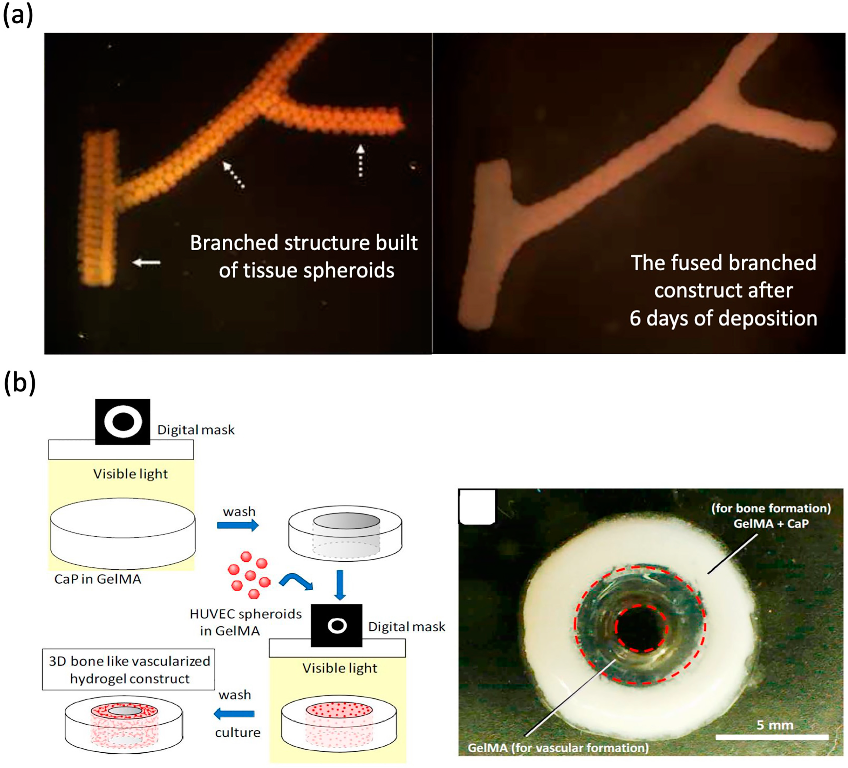 Materials 13 02278 g005
