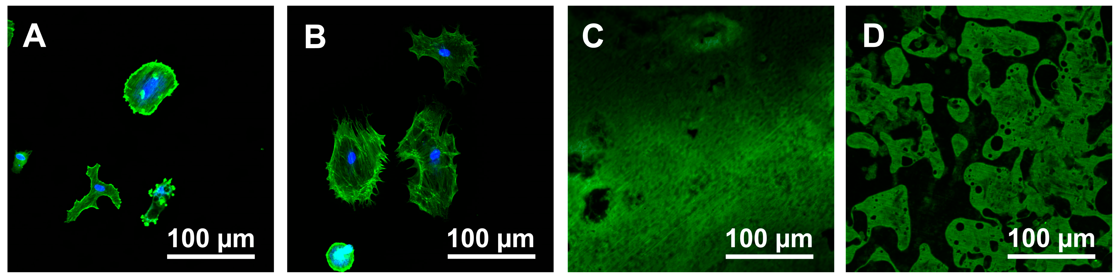 Materials 13 02287 g005 Materials 13 02287 g005