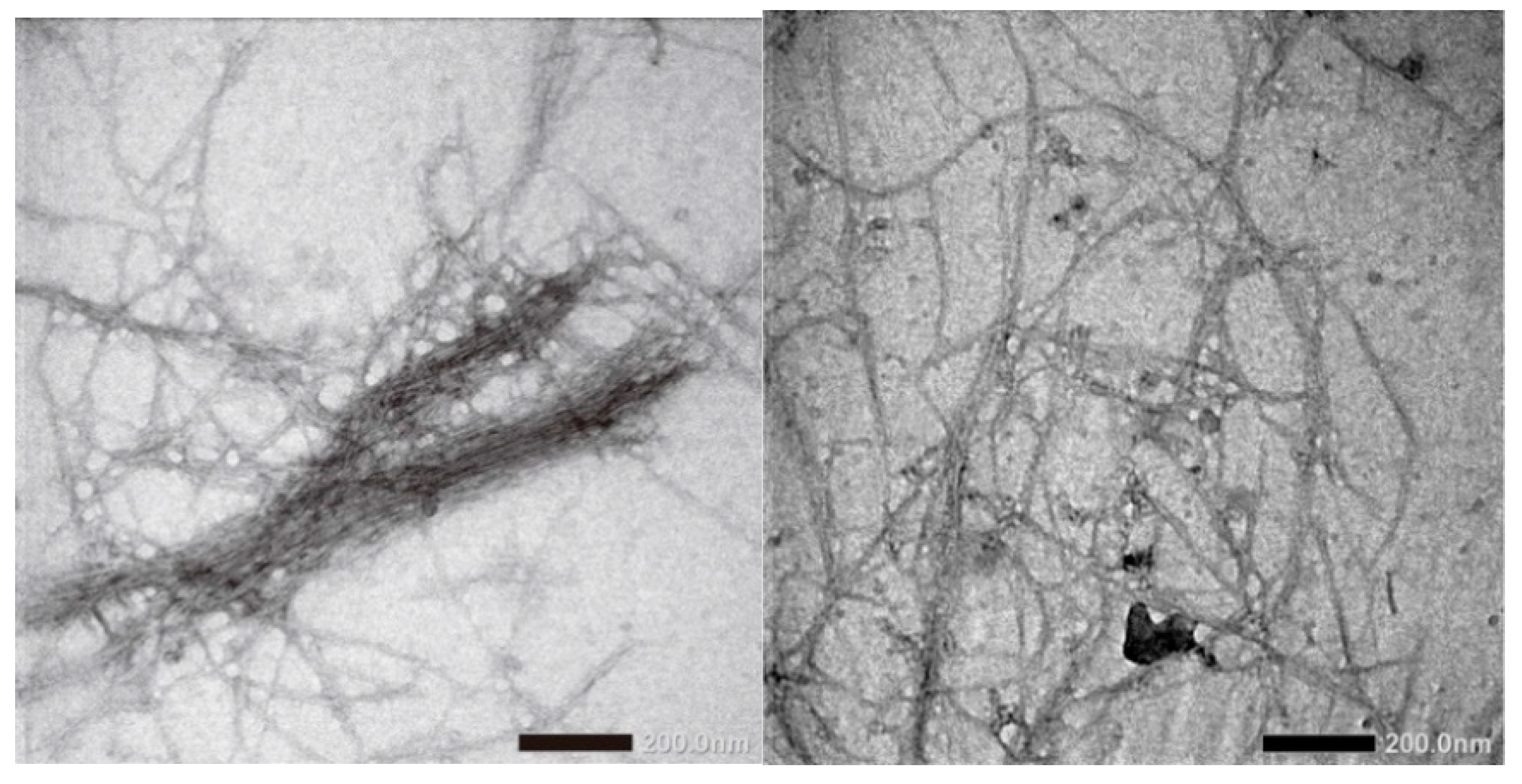 Materials 13 02290 g003