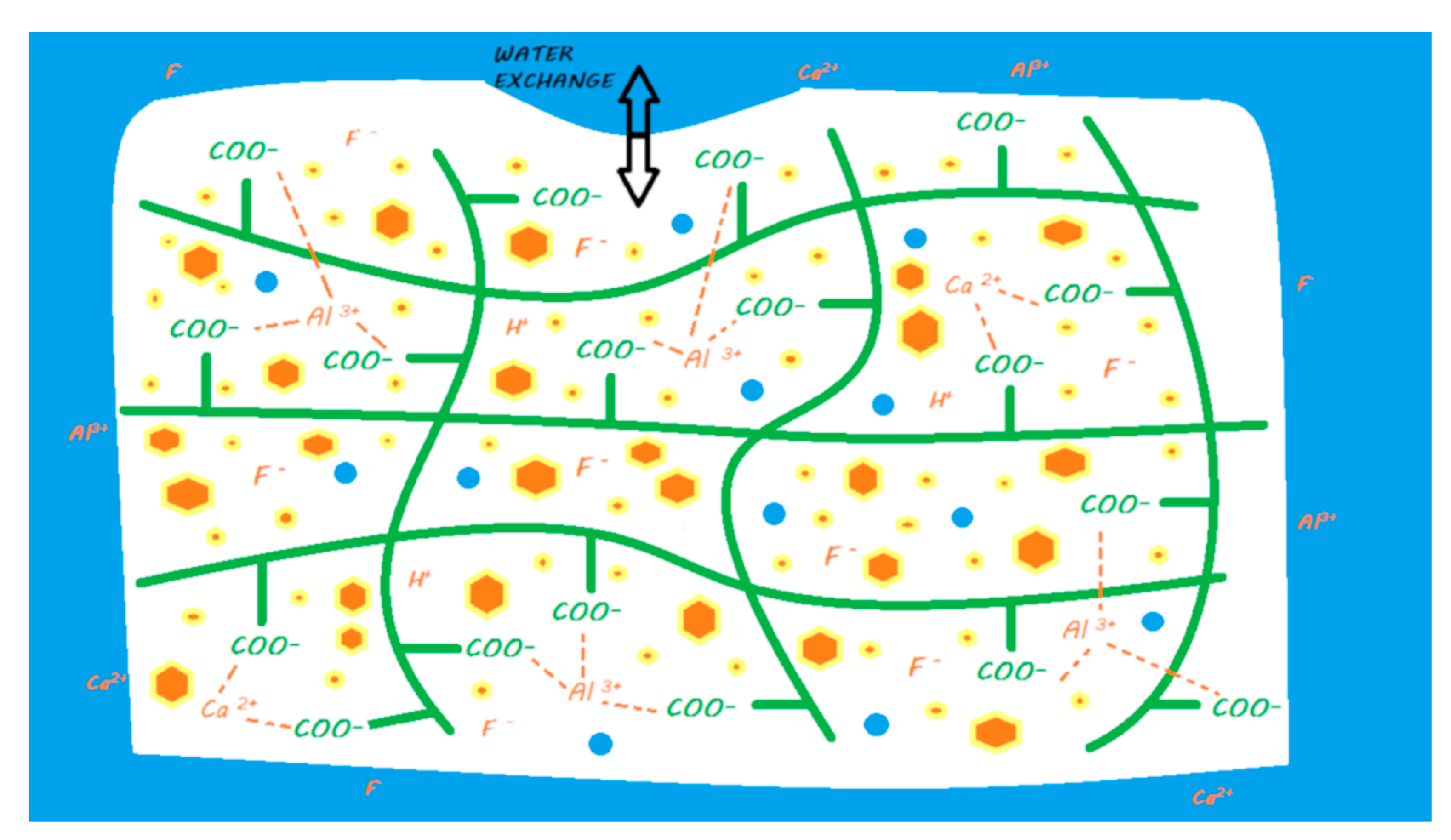 Materials 13 02313 g005