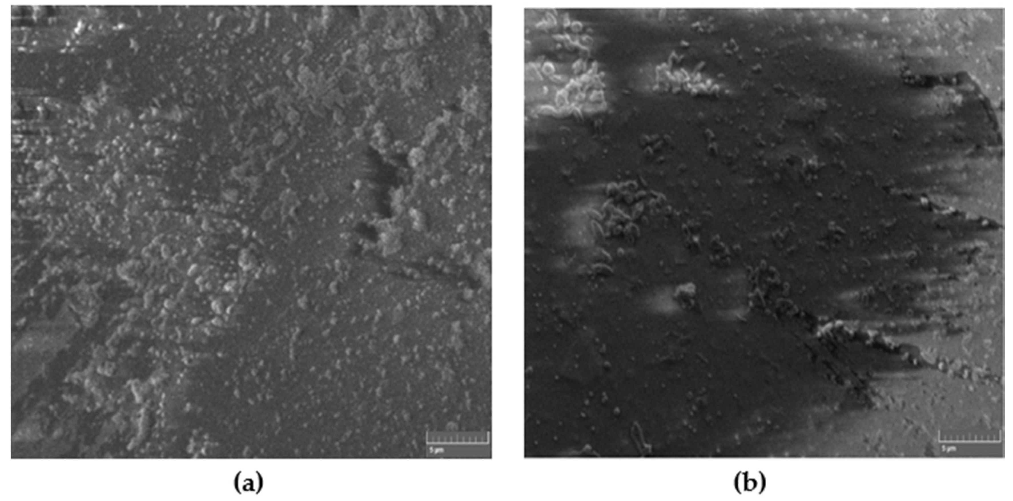 Materials 13 02323 g002