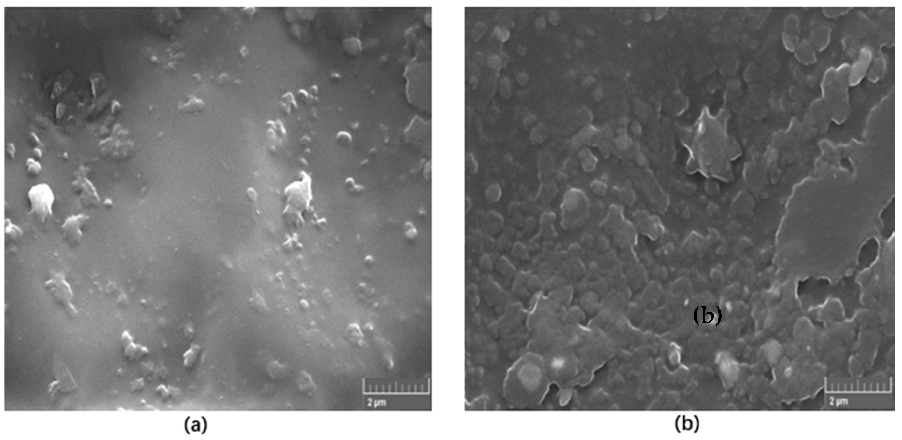 Materials 13 02323 g004