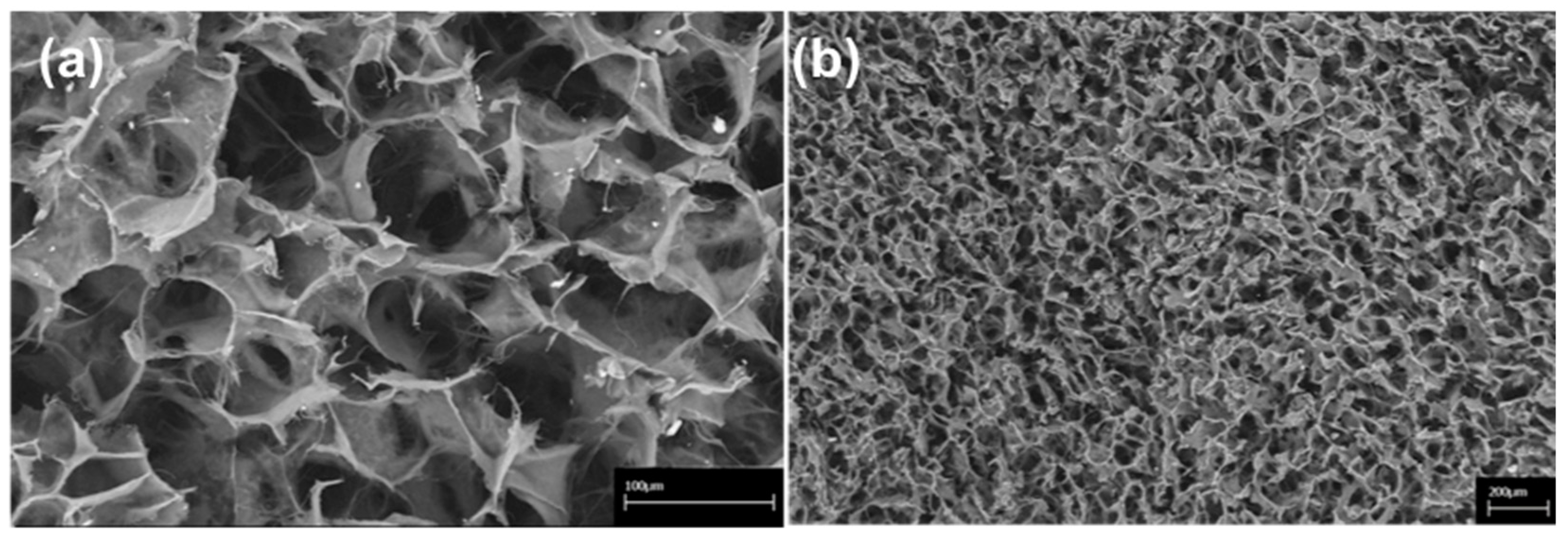 Materials 13 02369 g001 Materials 13 02369 g001