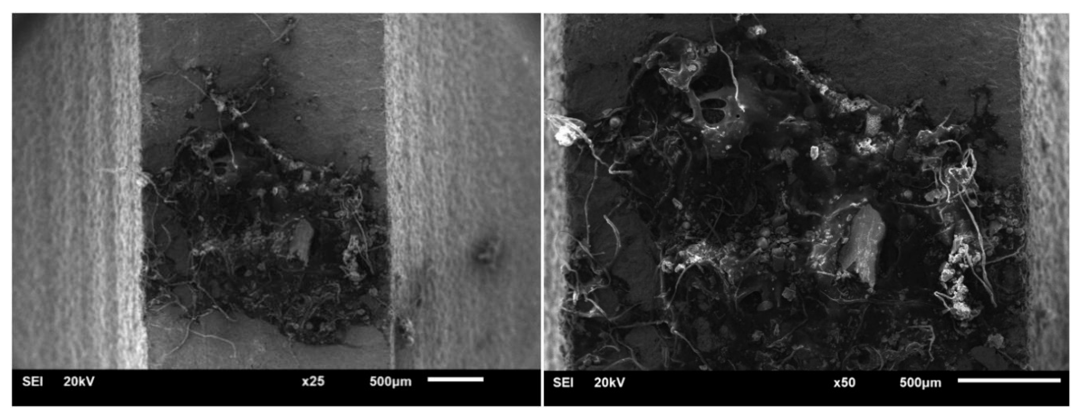 Materials 13 02372 g011 Materials 13 02372 g011