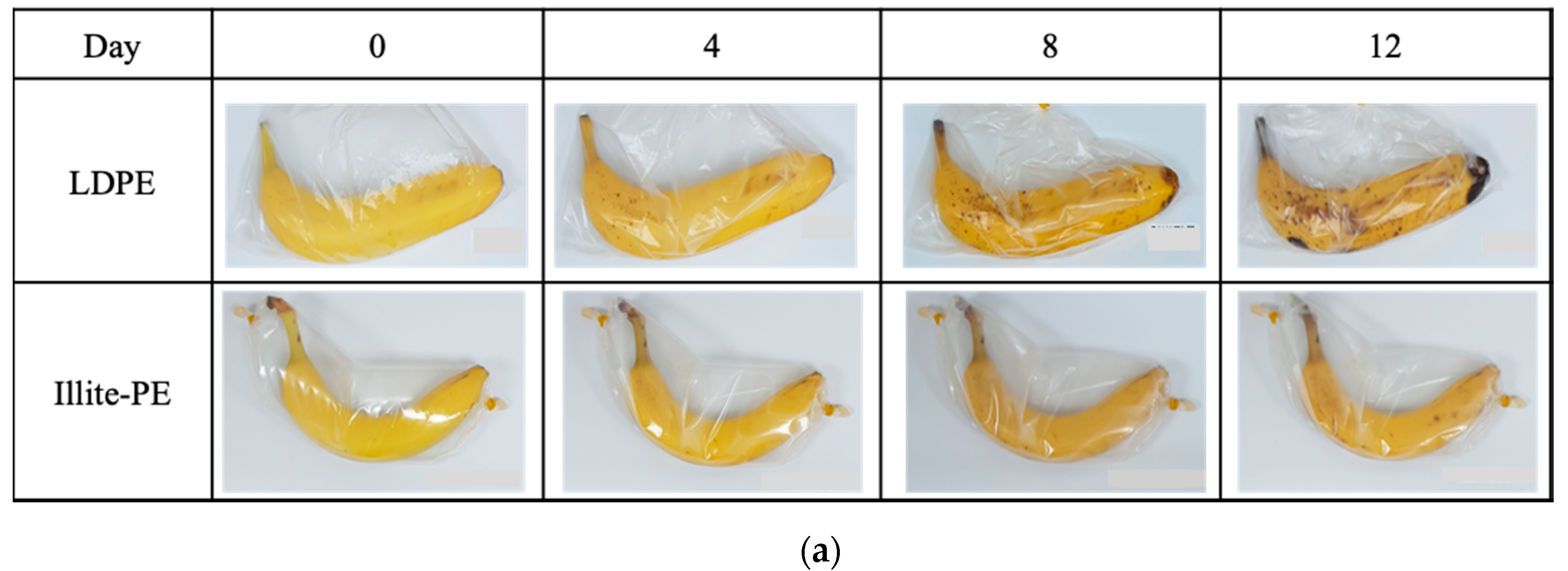 Materials 13 02382 g006a Materials 13 02382 g006a