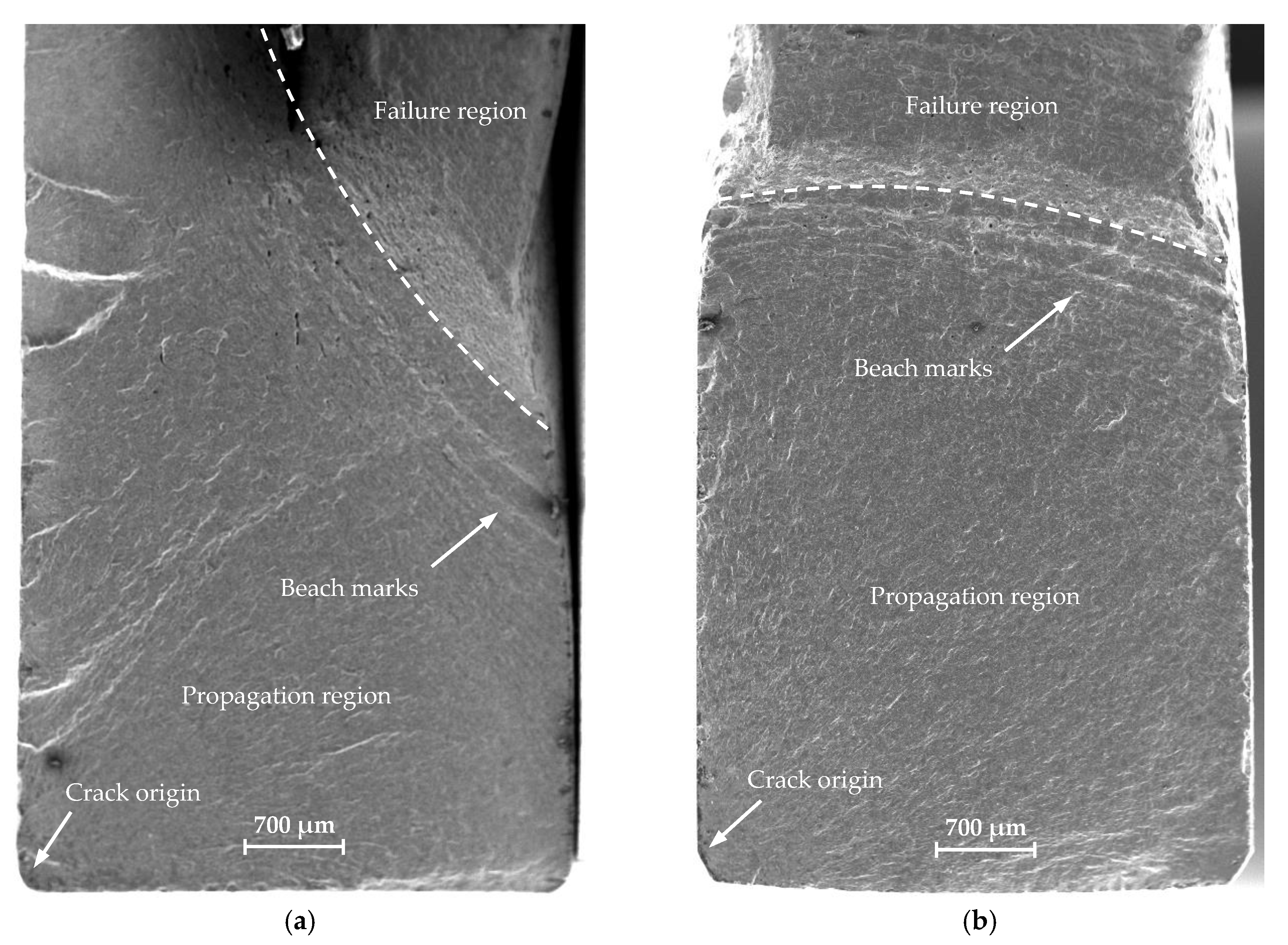 Materials 13 02384 g012