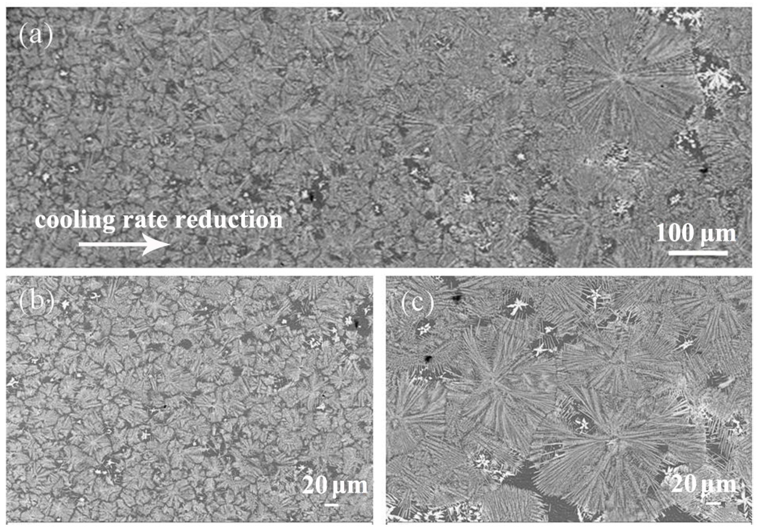 Materials 13 02388 g010