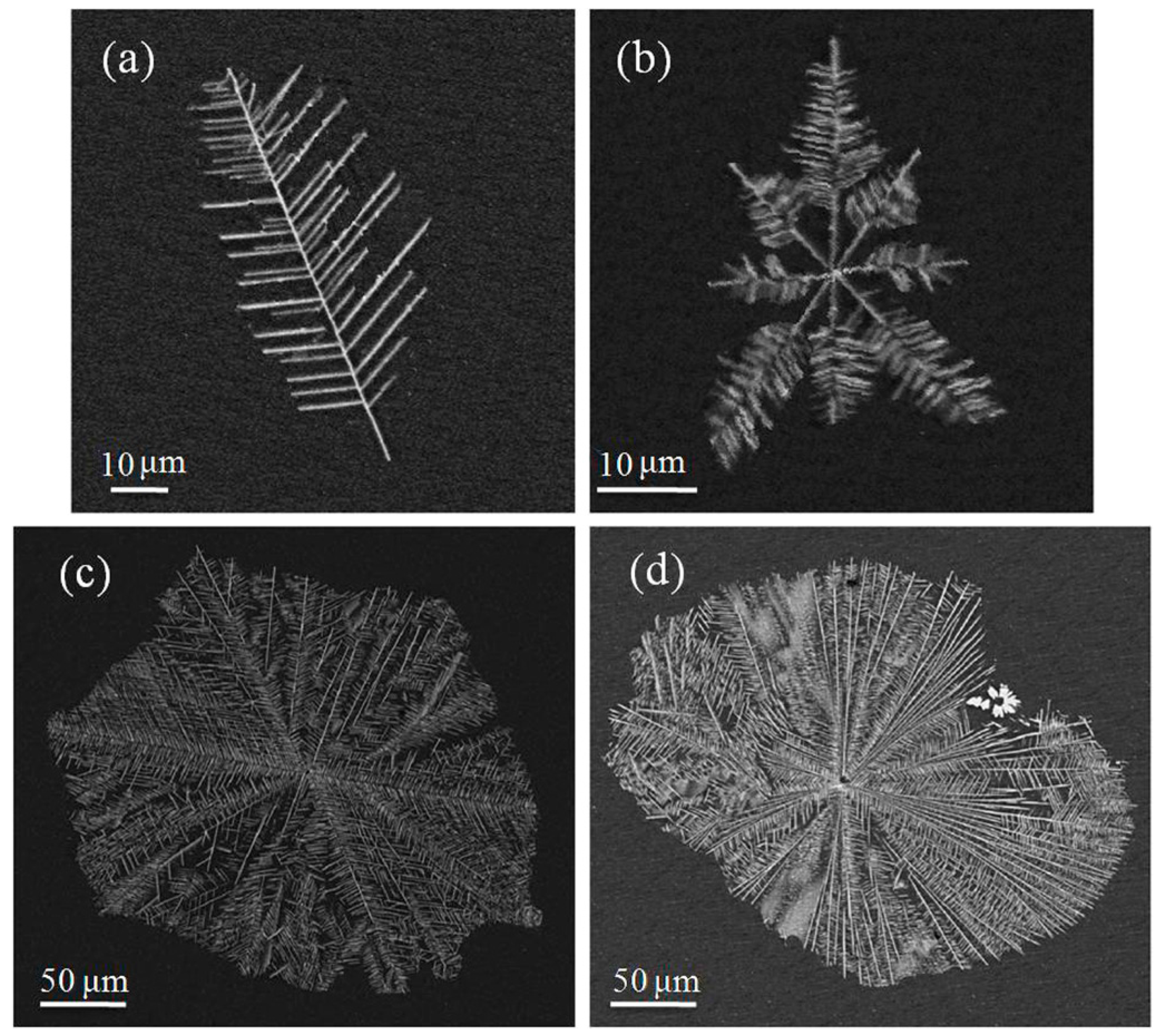 Materials 13 02388 g013